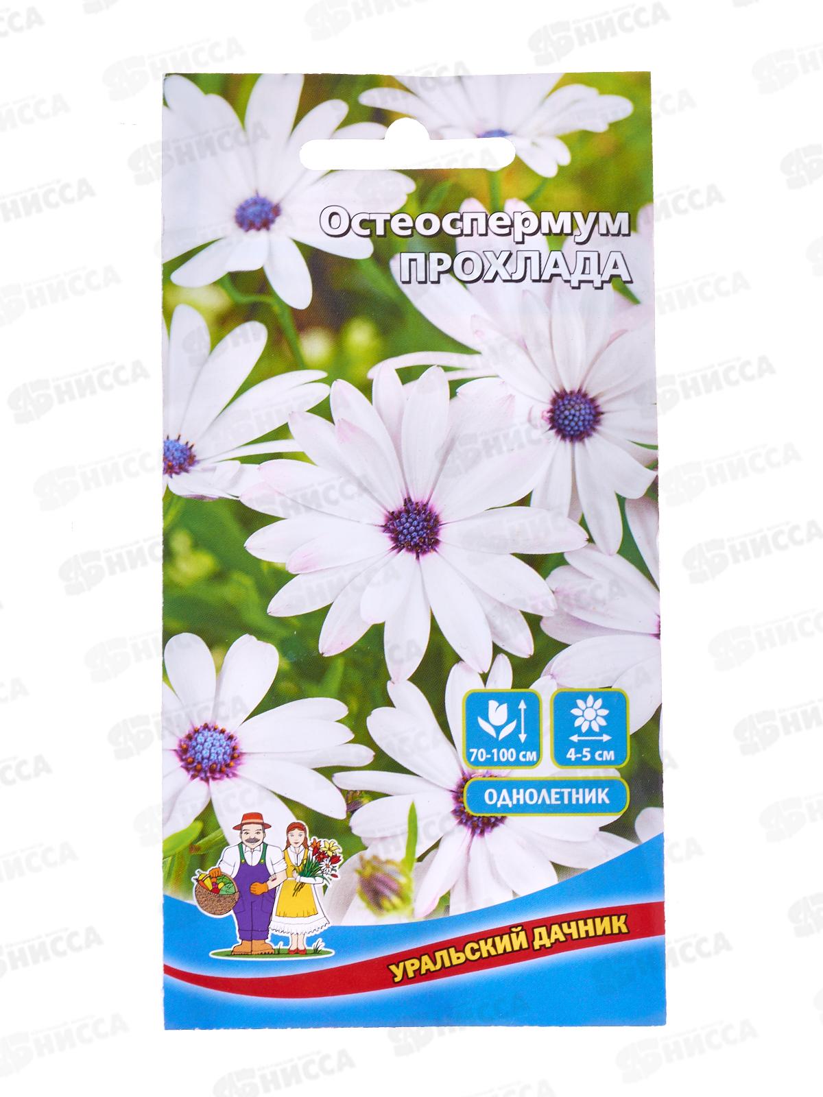 Остеоспермум Прохлада Евро *10 УрД +