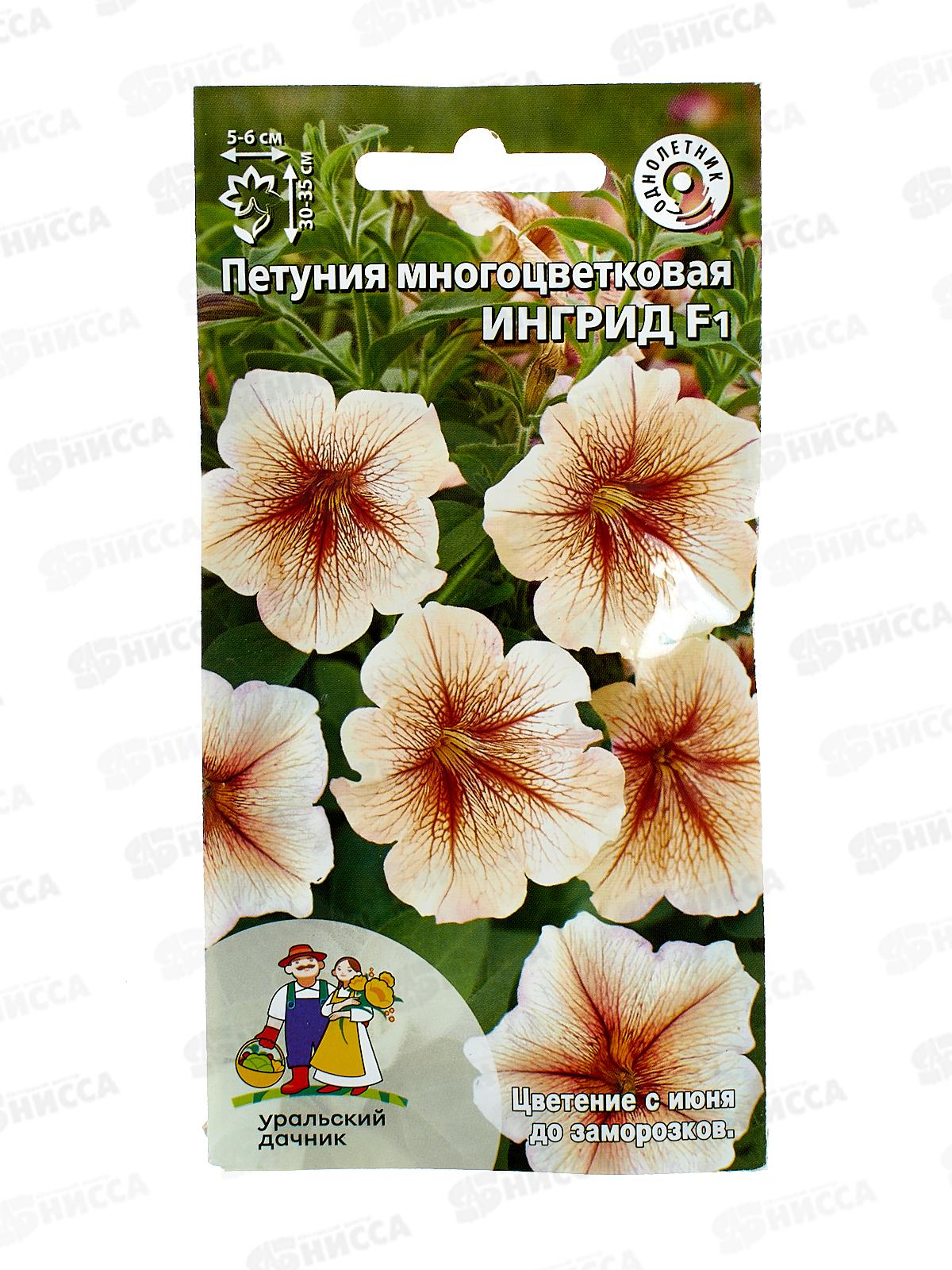 Петуния Ингрид F1 Евро многоцветковая *10 УрД +