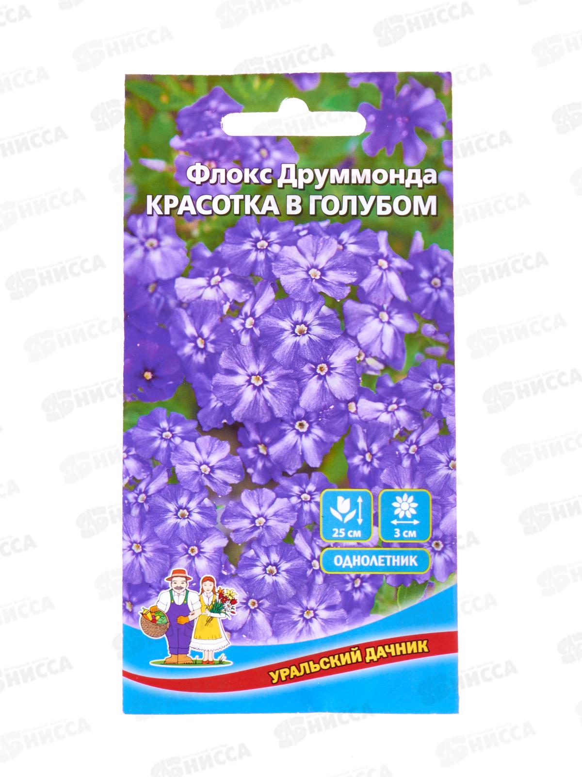 Флокс друммонда Красотка в голубом Евро *10 УрД