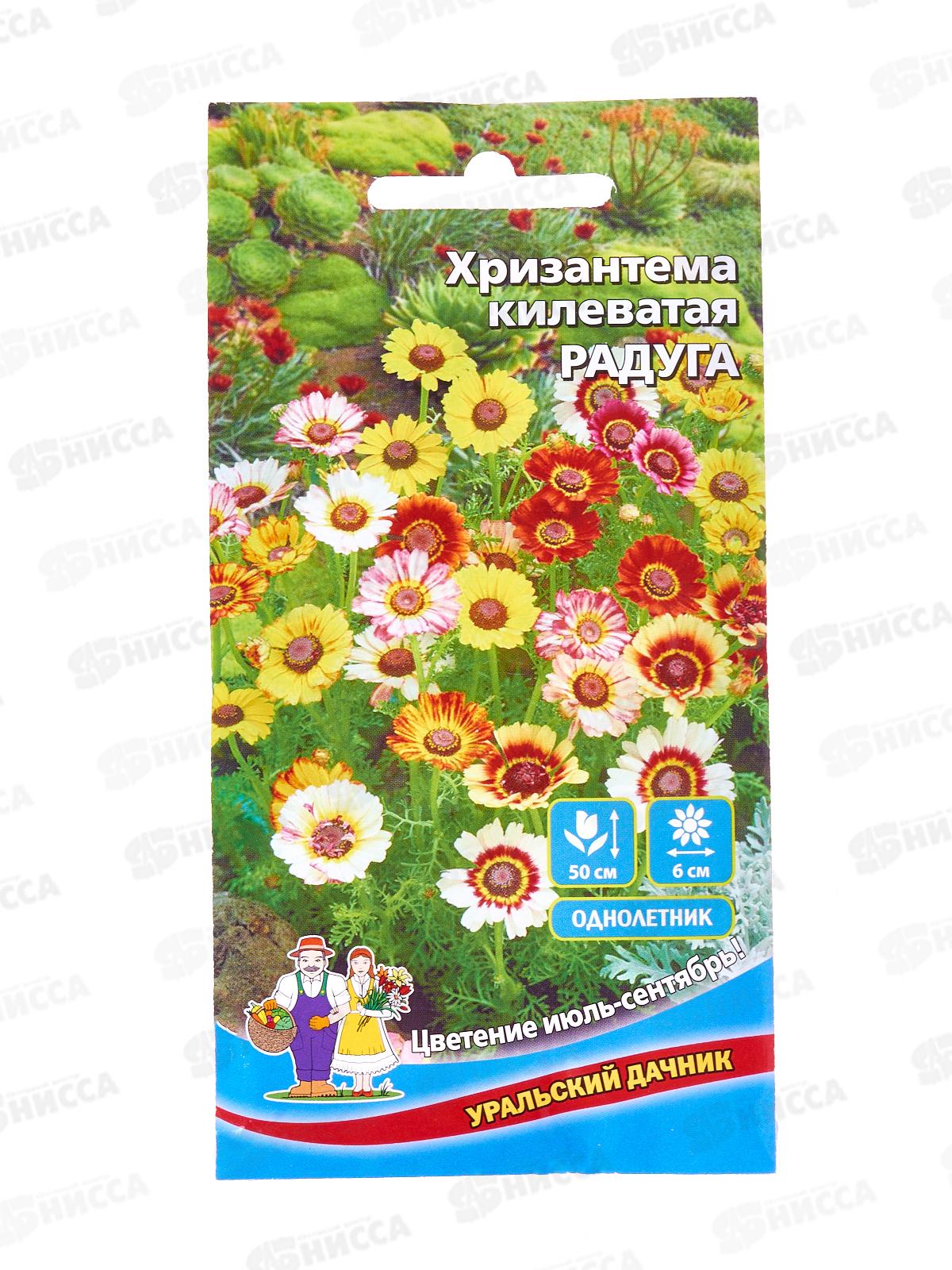 Хризантема Радуга Евро килеватая *10 УрД +