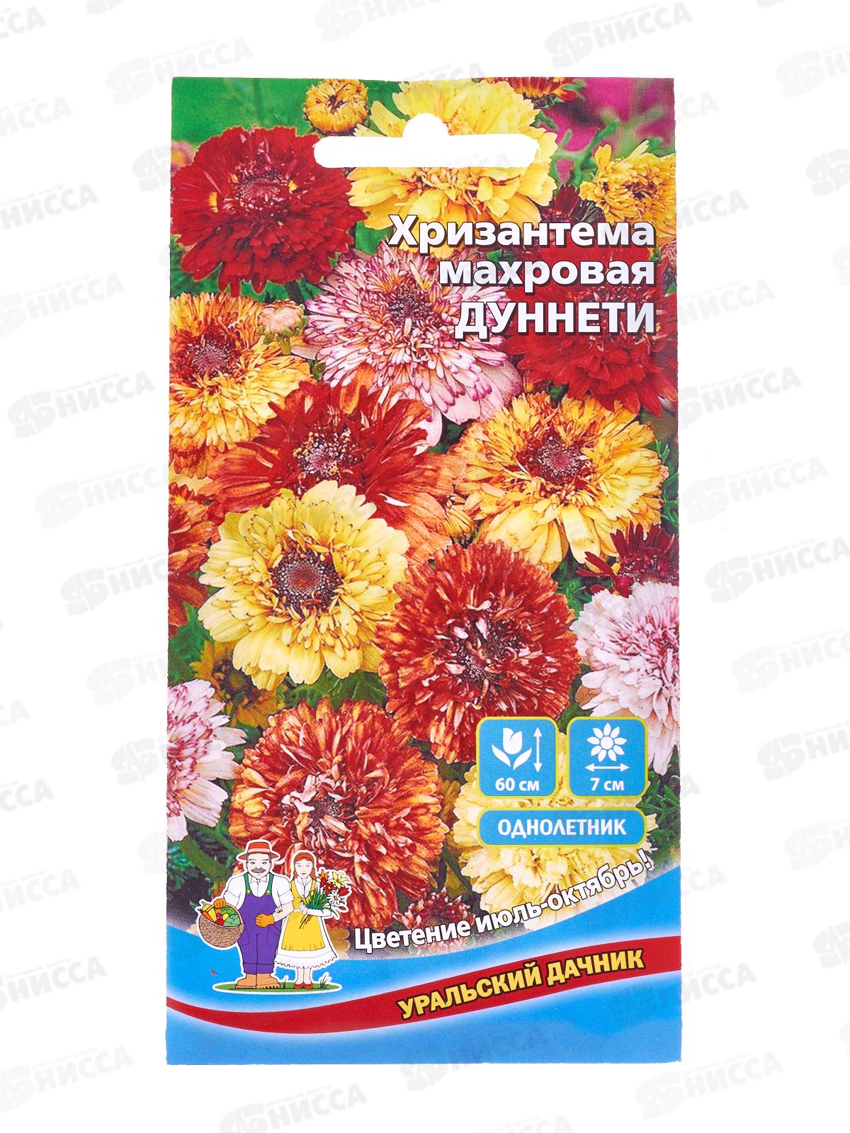 Хризантема Дуннети Евро *10 УрД