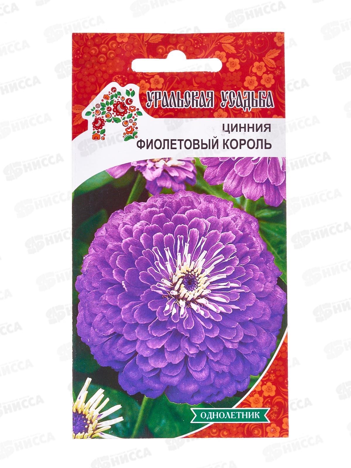 Цинния Фиолетовый король Евро УУ *10 УрД