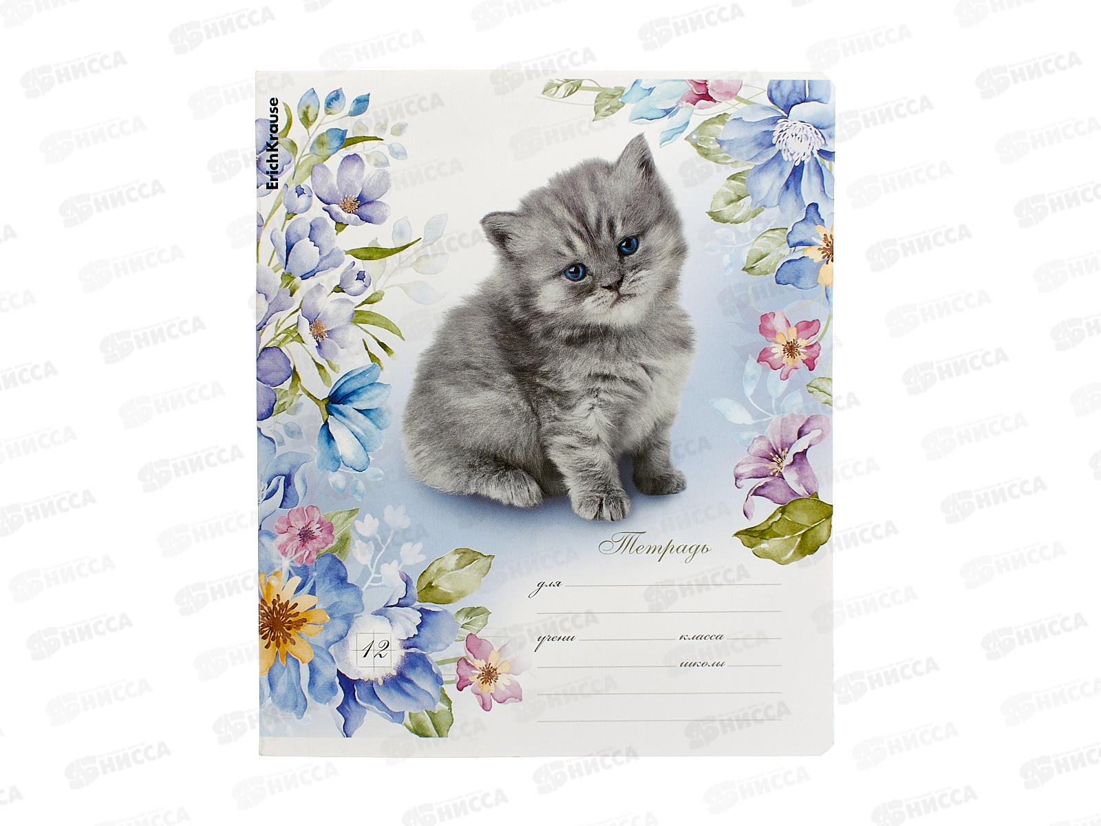 Тетрадь 12л кл. ПОЛИ Мурзики, 48820 *10/280