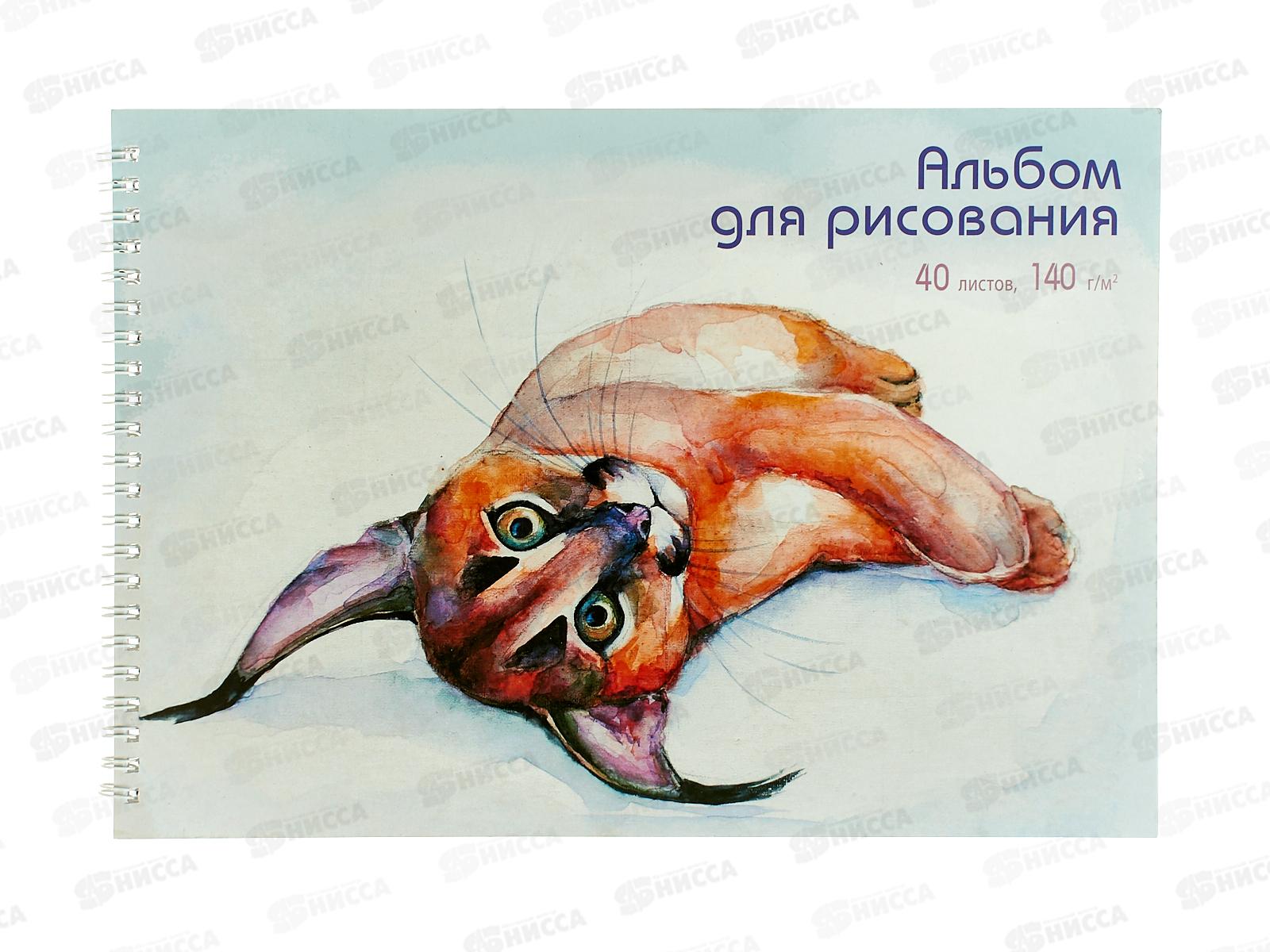 Альбом д/рис.40л ЭКСМ Рысь. мел.картон греб.  АС402483 *20