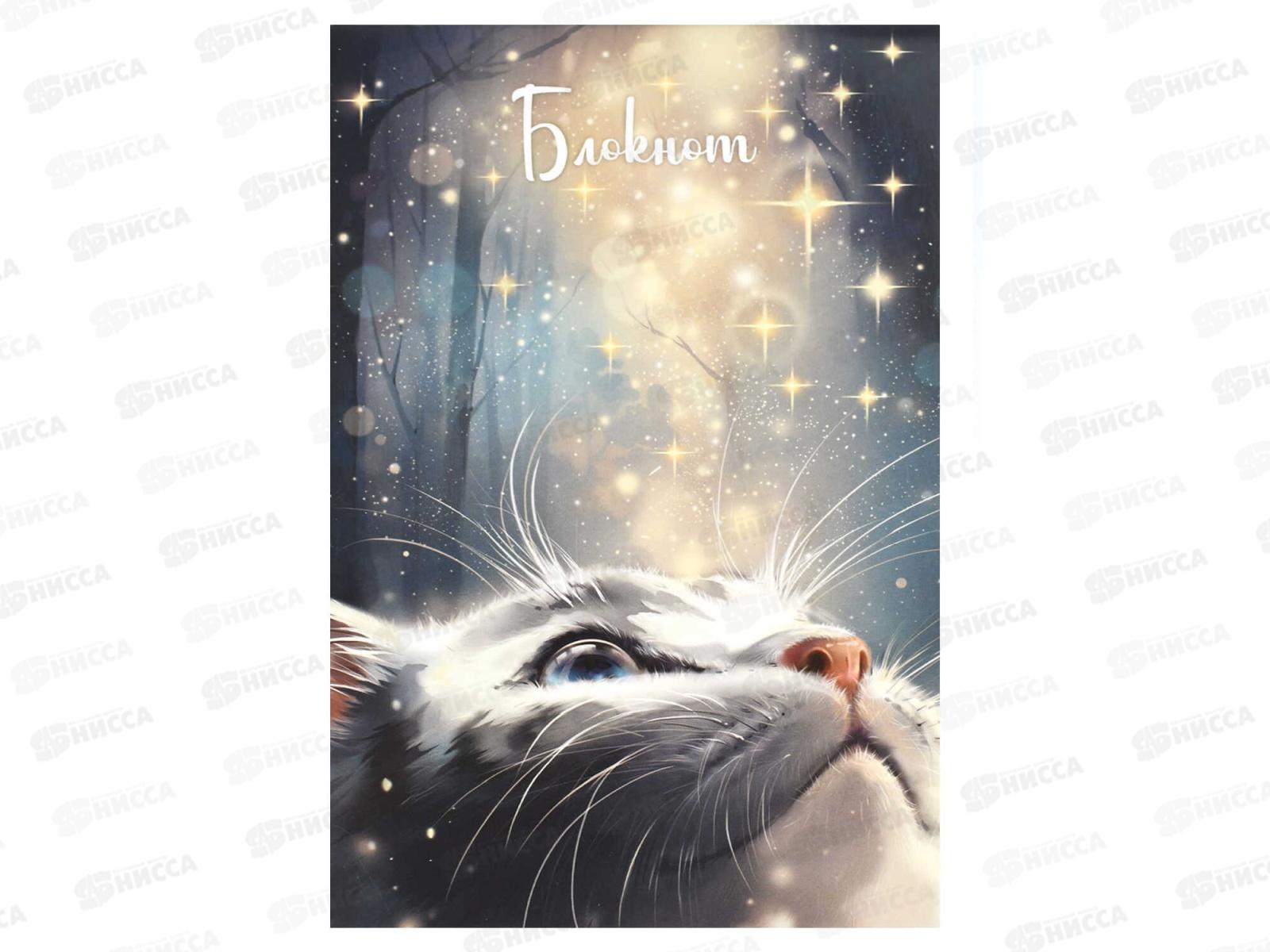 Блокнот 40л ФЕН А5 Кот со звездами кл.,скоба, офсет 69255 *5/40