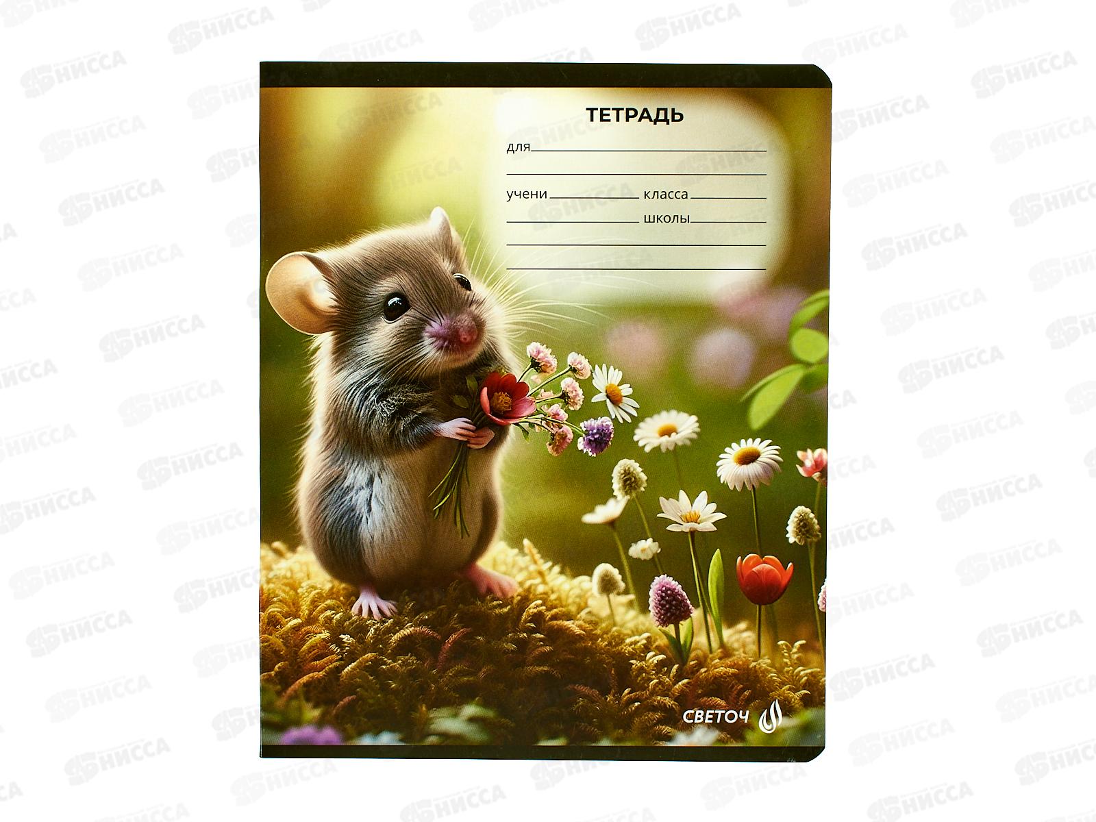 Тетрадь 18л клетка SVETOCH Любопытные мордочки, Т75, 01414 *20/80