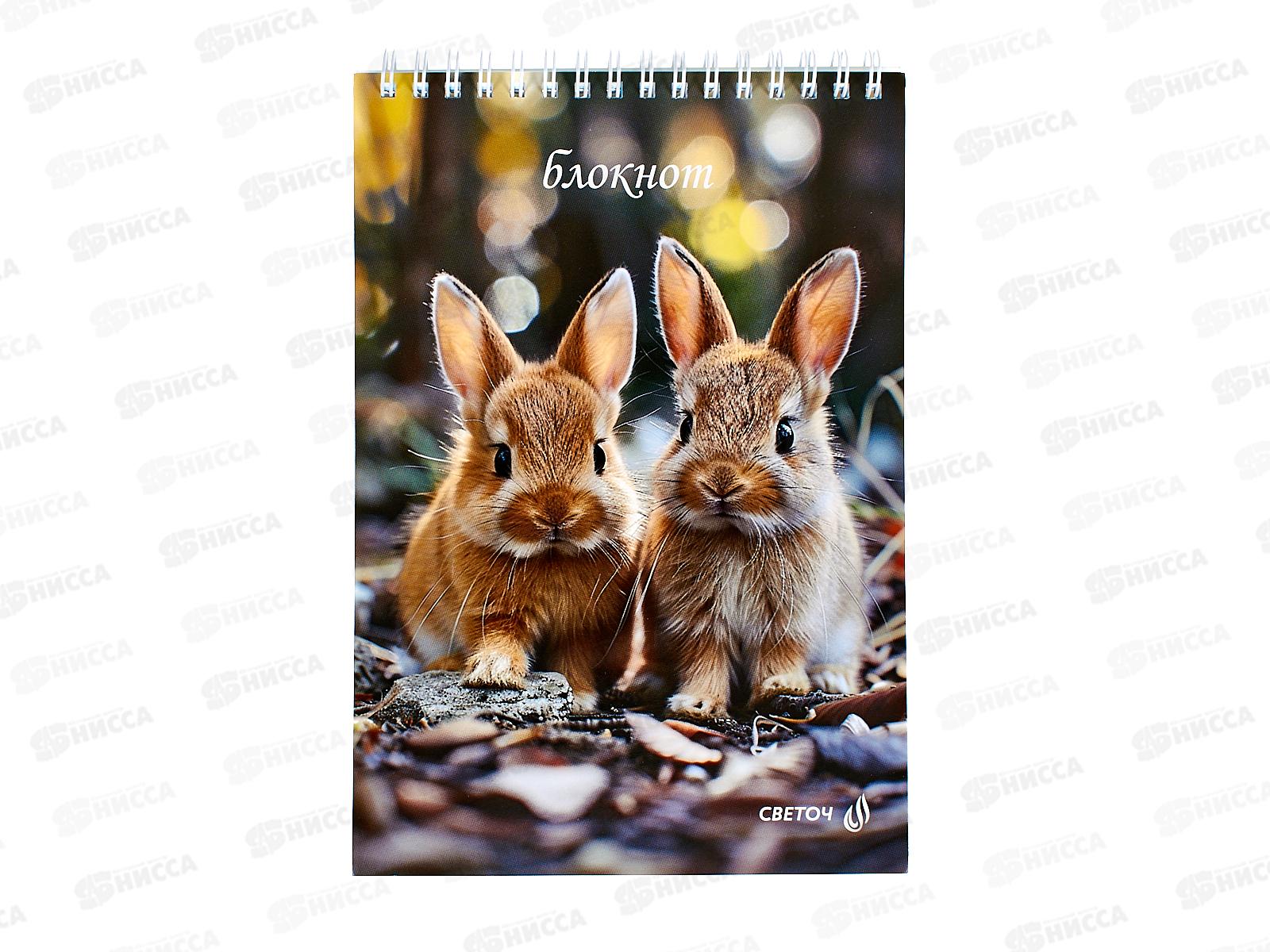 Блокнот 80л Светоч А5 Ушастики, клетка, гребень, 01235  *4