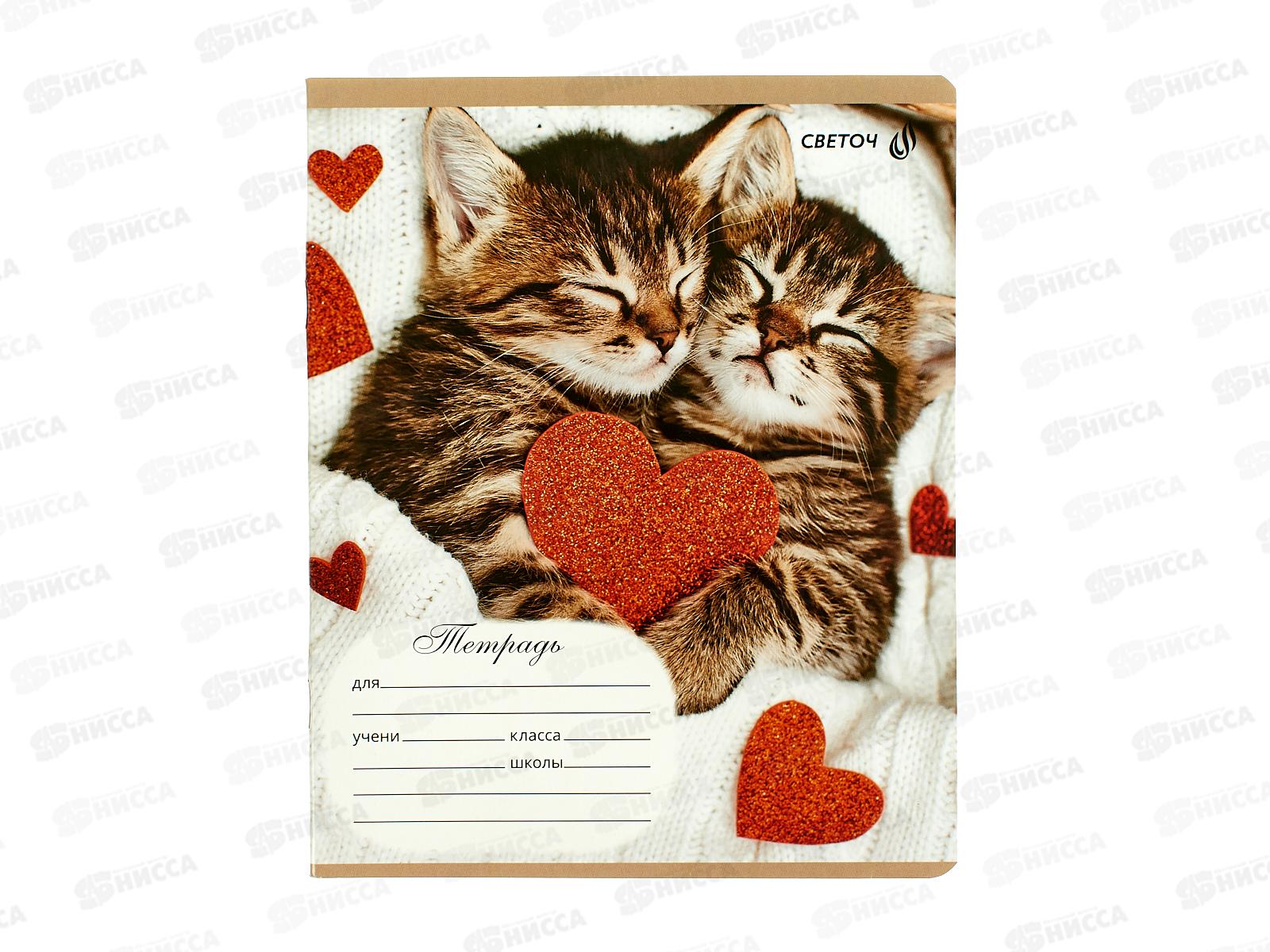 Тетрадь 18л клетка SVETOCH Пушистый соня, 01417 *20/80