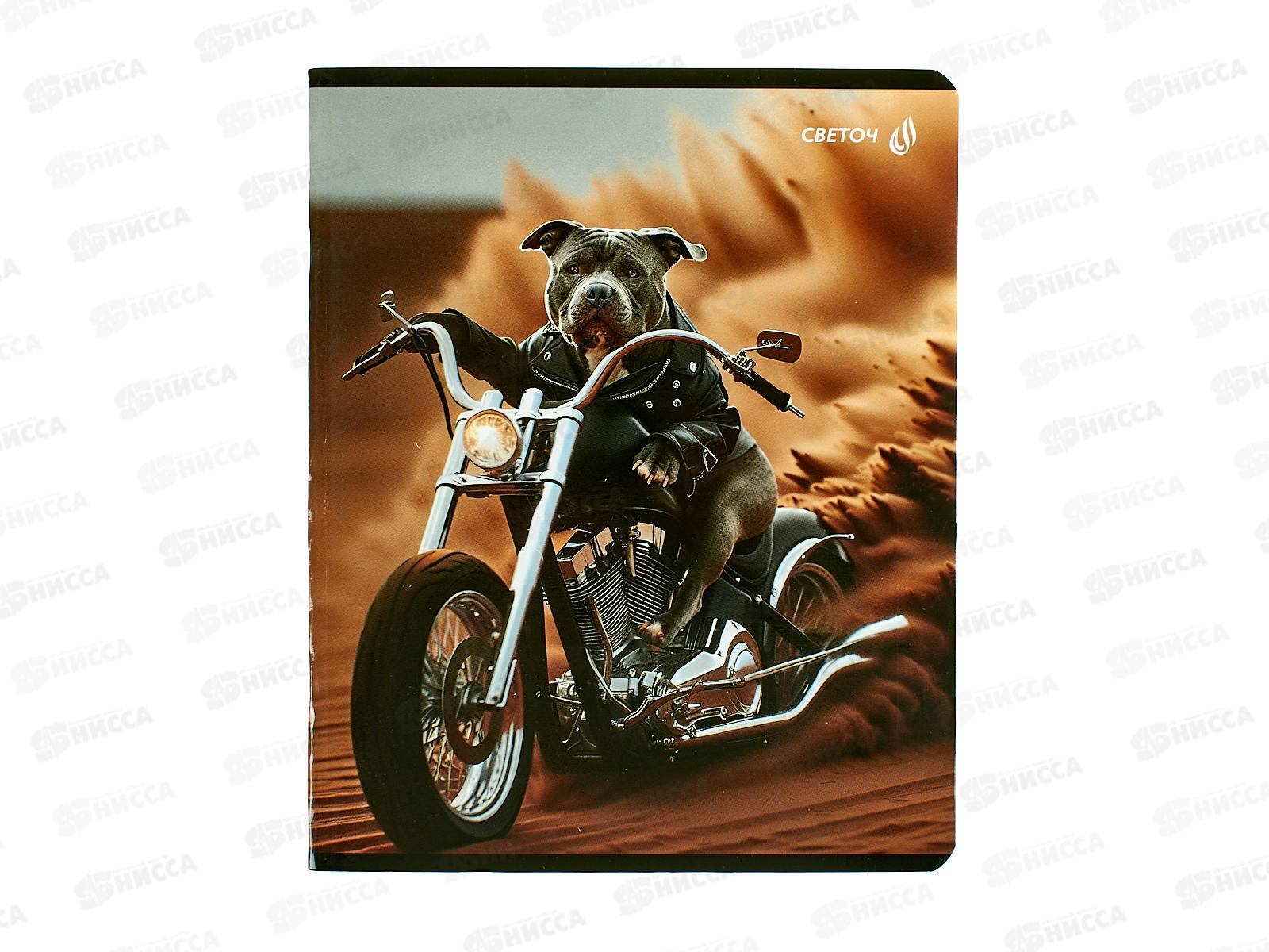 Тетрадь 48л кл. SVETOCH Это кто на мотоцикле?, 01505  *10/60