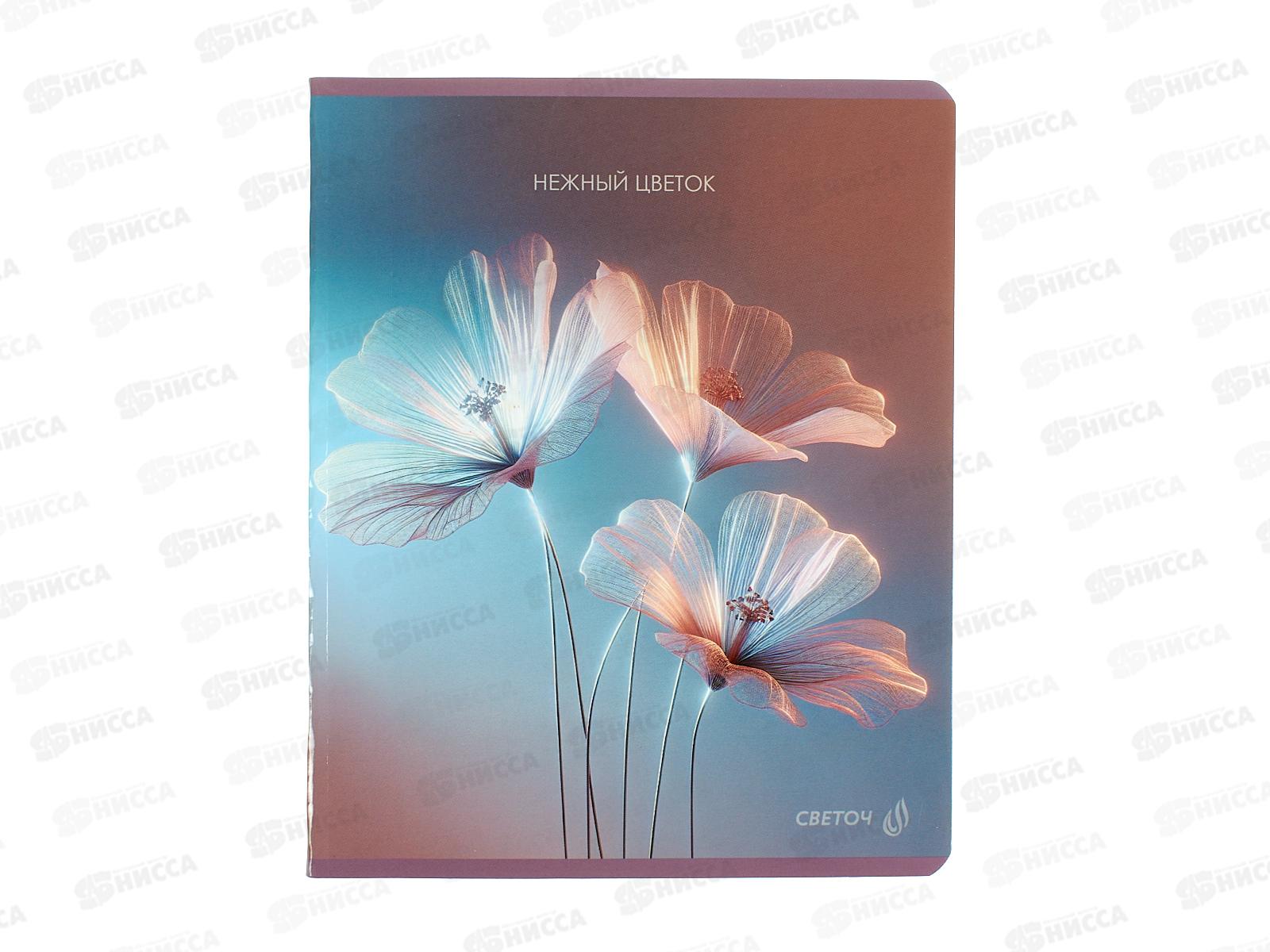 Тетрадь 48л клетка SVETOCH Капризный цветок, 01506  *10/60