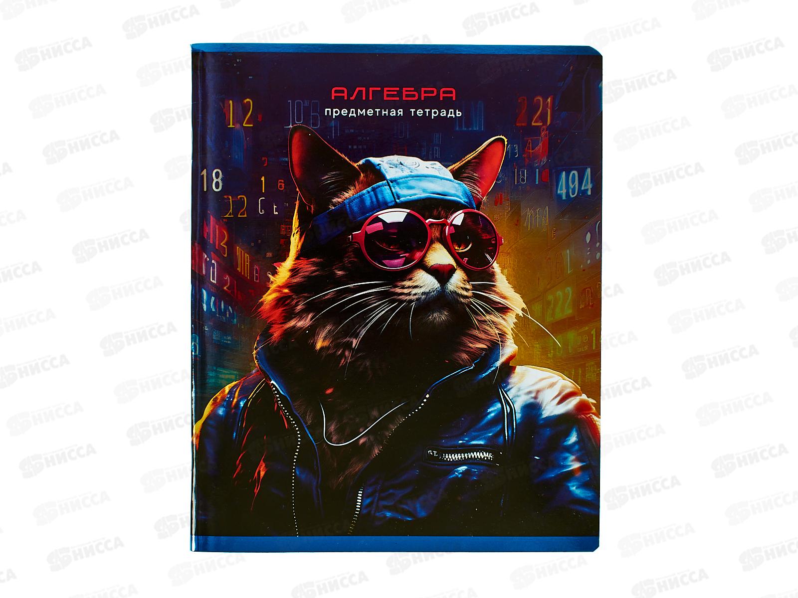Тетрадь 48л кл. BG &quotМир будущего&quot Алгебра, 56328 *10/60