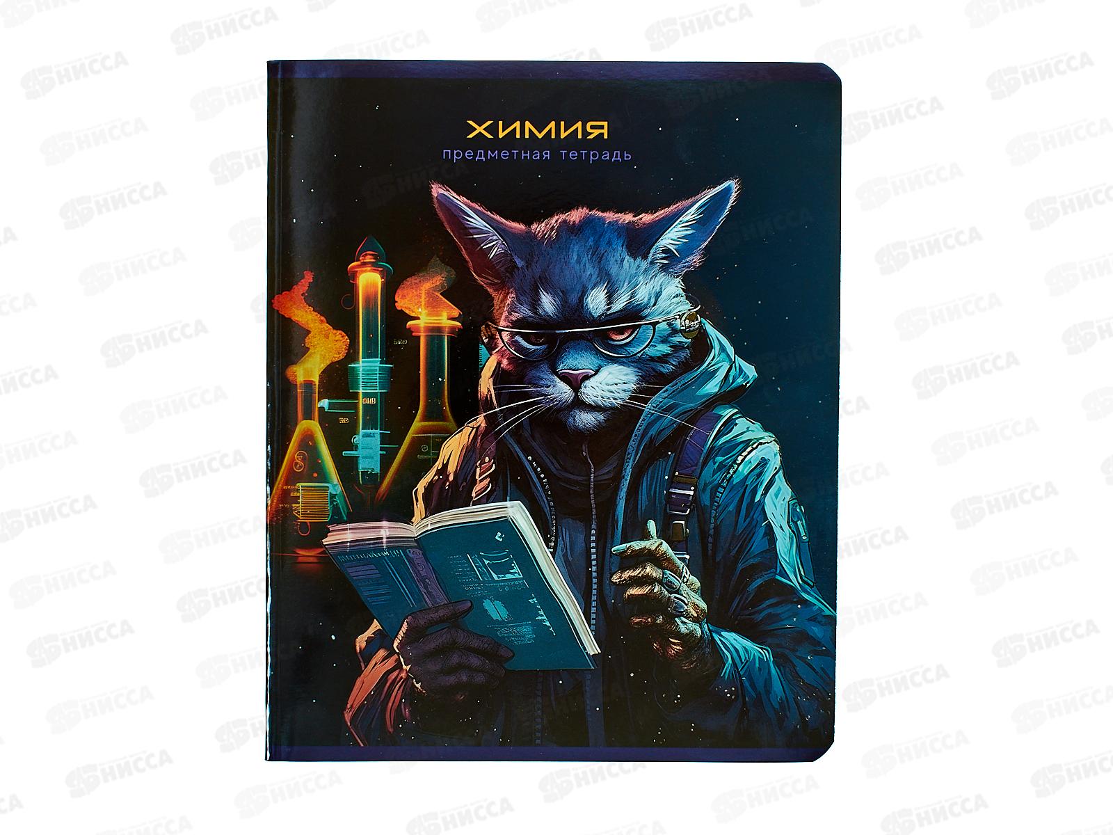 Тетрадь 48л кл. BG "Мир будущего" Химия, 56330 *10/60