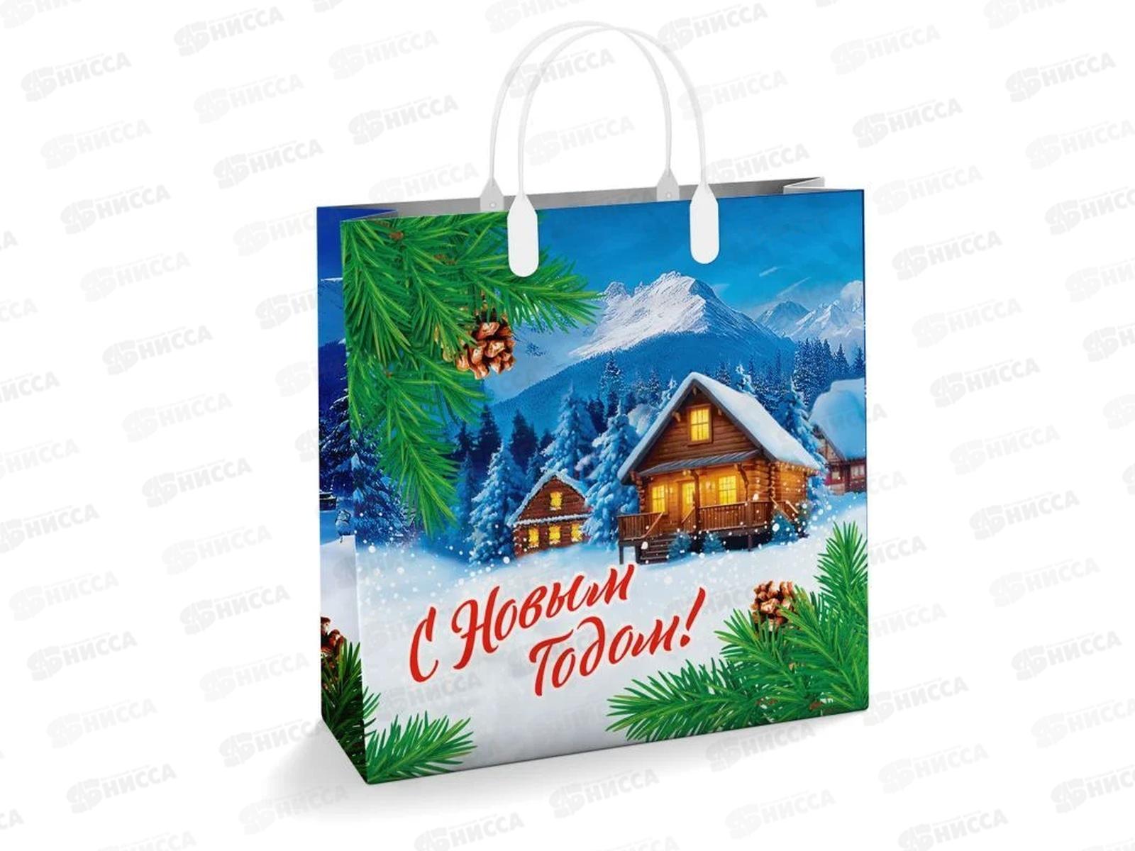 Сумочка пластик мягкий НГ 30*30 Домик в горах *40