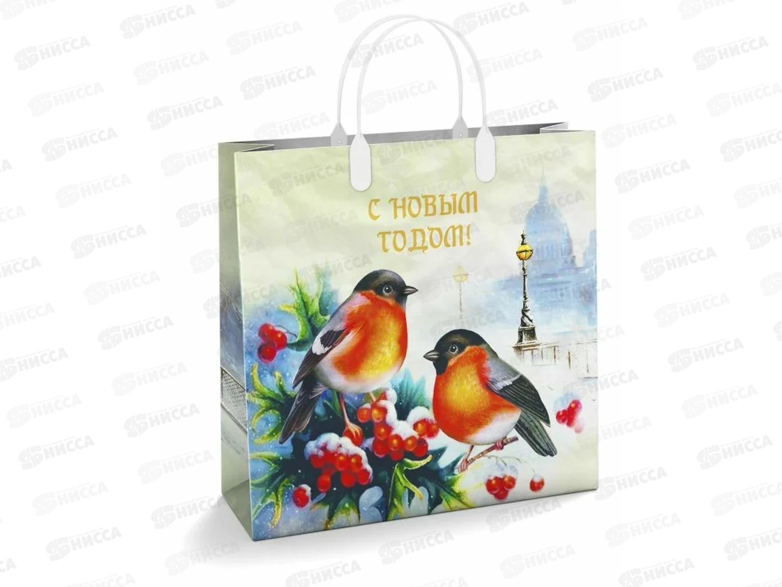 Сумочка пластик мягкий НГ 30*30 Пернатые друзья *40