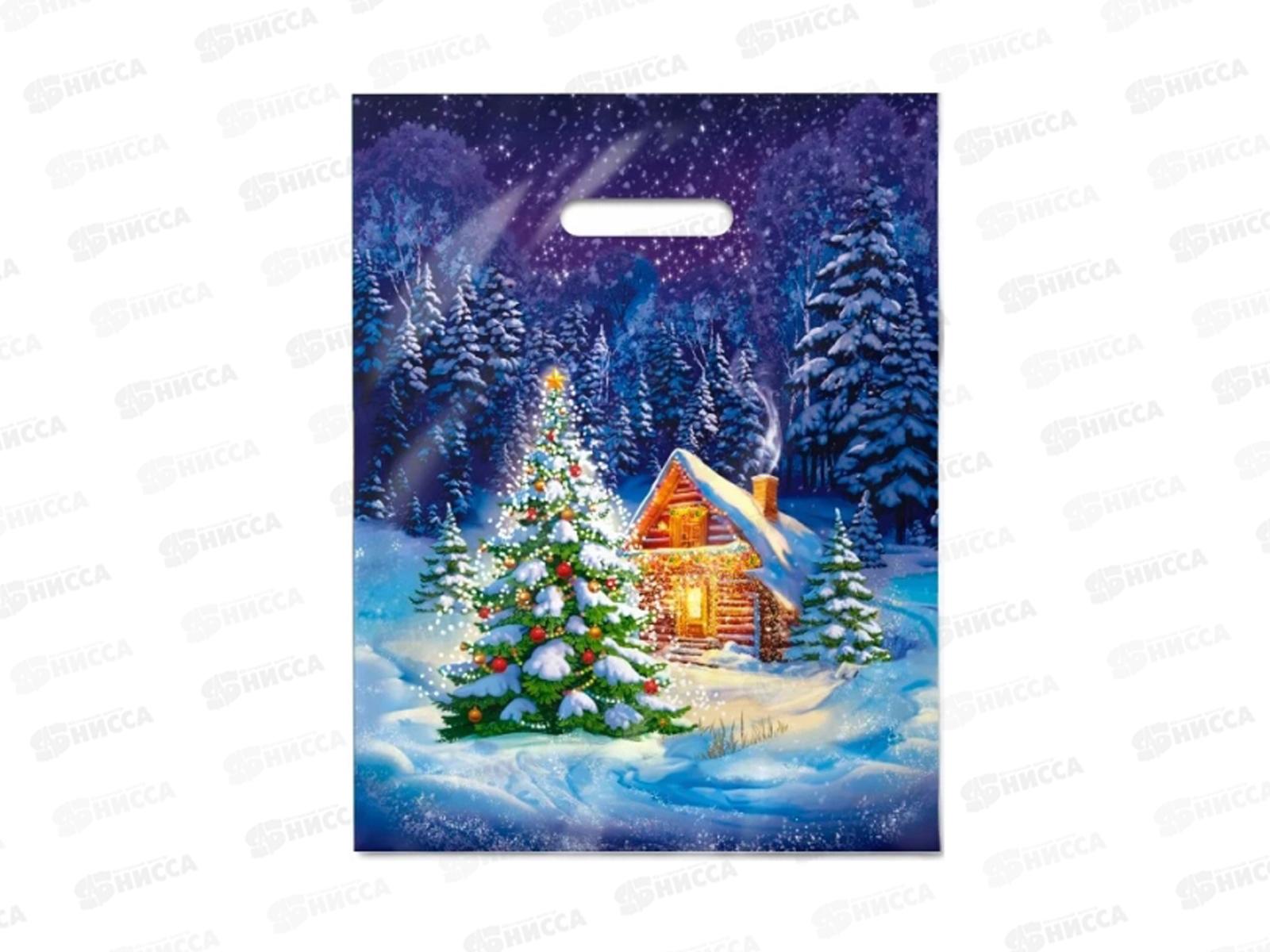 Пак. пробивной НГ 31*40 Ночное чудо *50/500