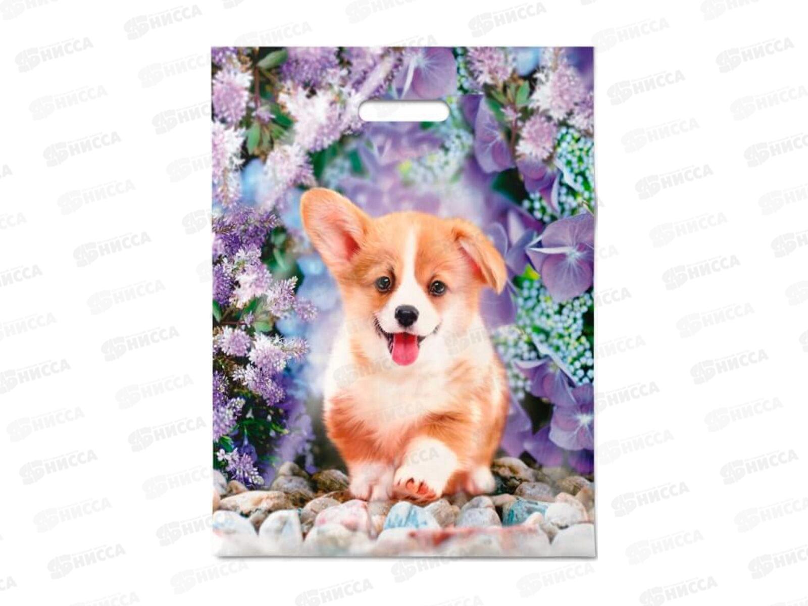 Пак. пробивной 38*47 Рыжик *50/500