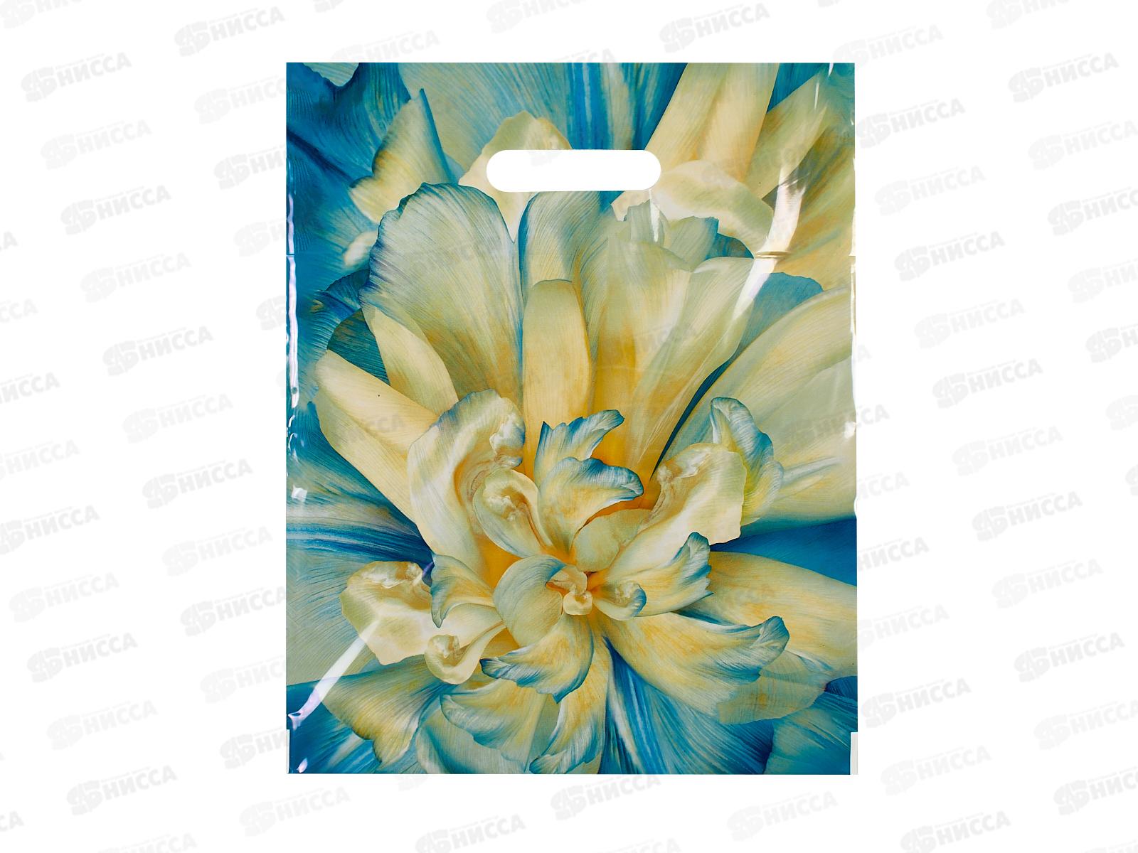 Пак. пробивной 30*37 Молли 90мкм *50/500