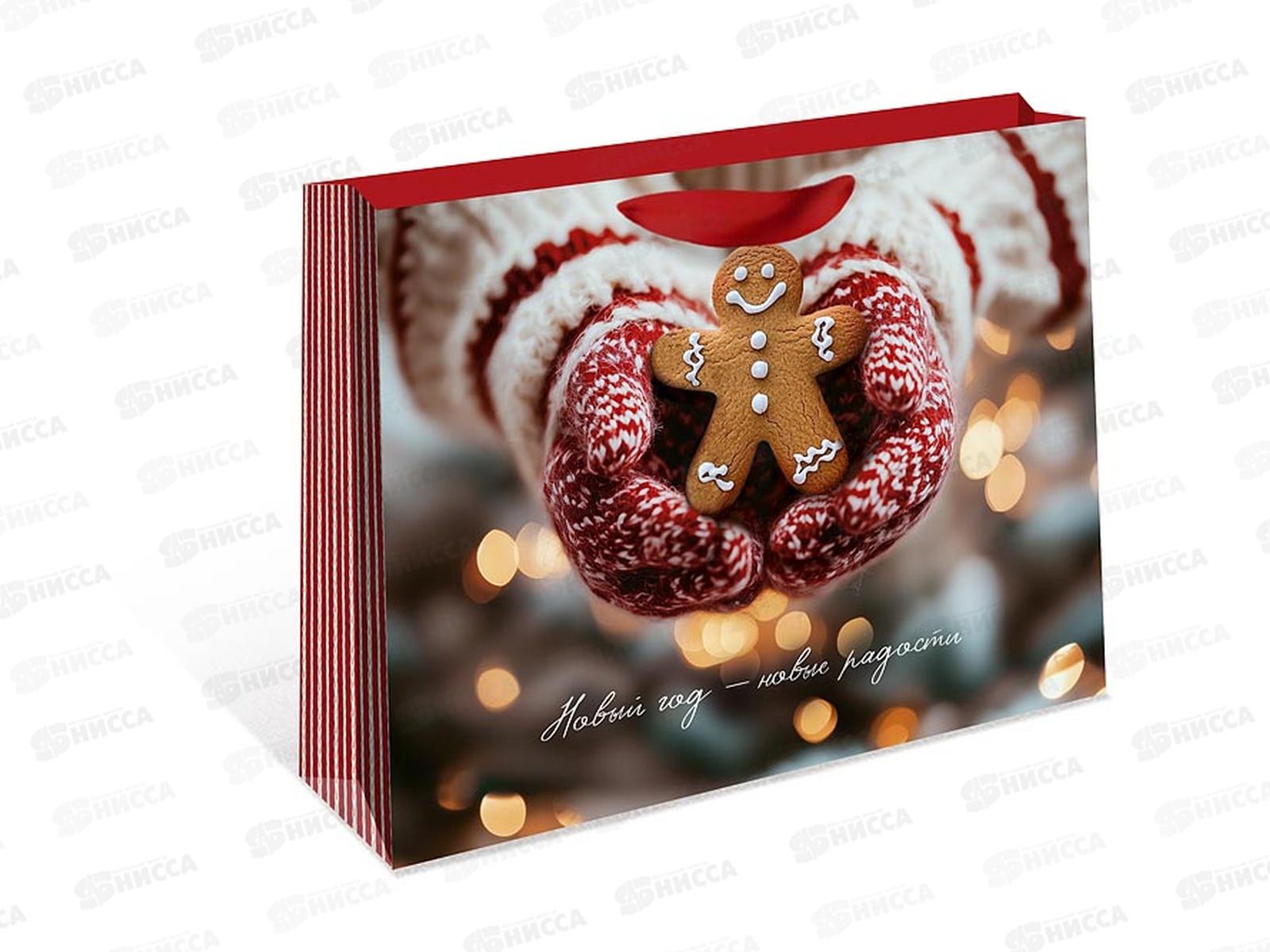 Пакет бум. подарочный стандарт плюс НГ 23*17,8*9,8 1320.918