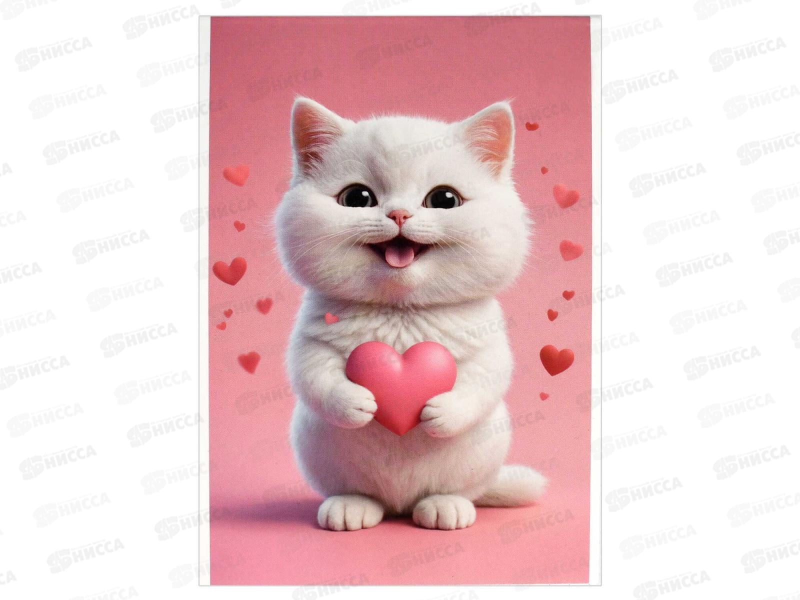 Блокнот 40л ФЕН А6 Котенок с сердечком,  69589 *5/80