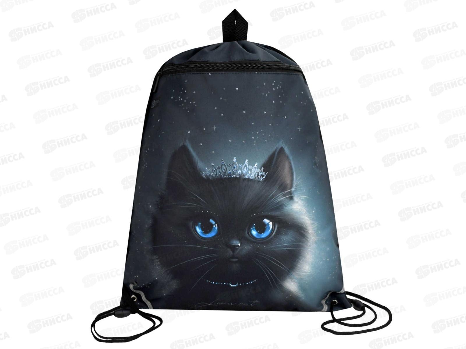 Мешок д/обуви ФЕН Принцесса луна 48*36см, 69172 *24