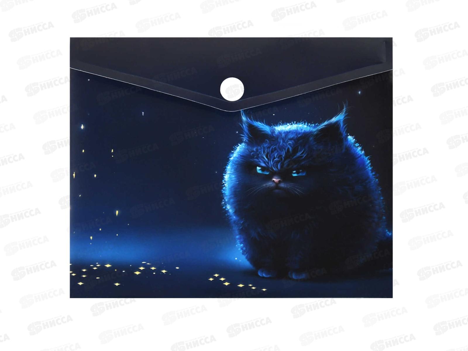 Папка д/документов ФЕН 17*14, Ночное облако, с кноп., 69033 *12