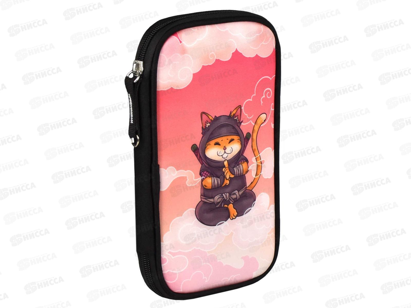 Пенал ФЕН Медитация на облаке 13,3*21*2,5 молния  65503 *24