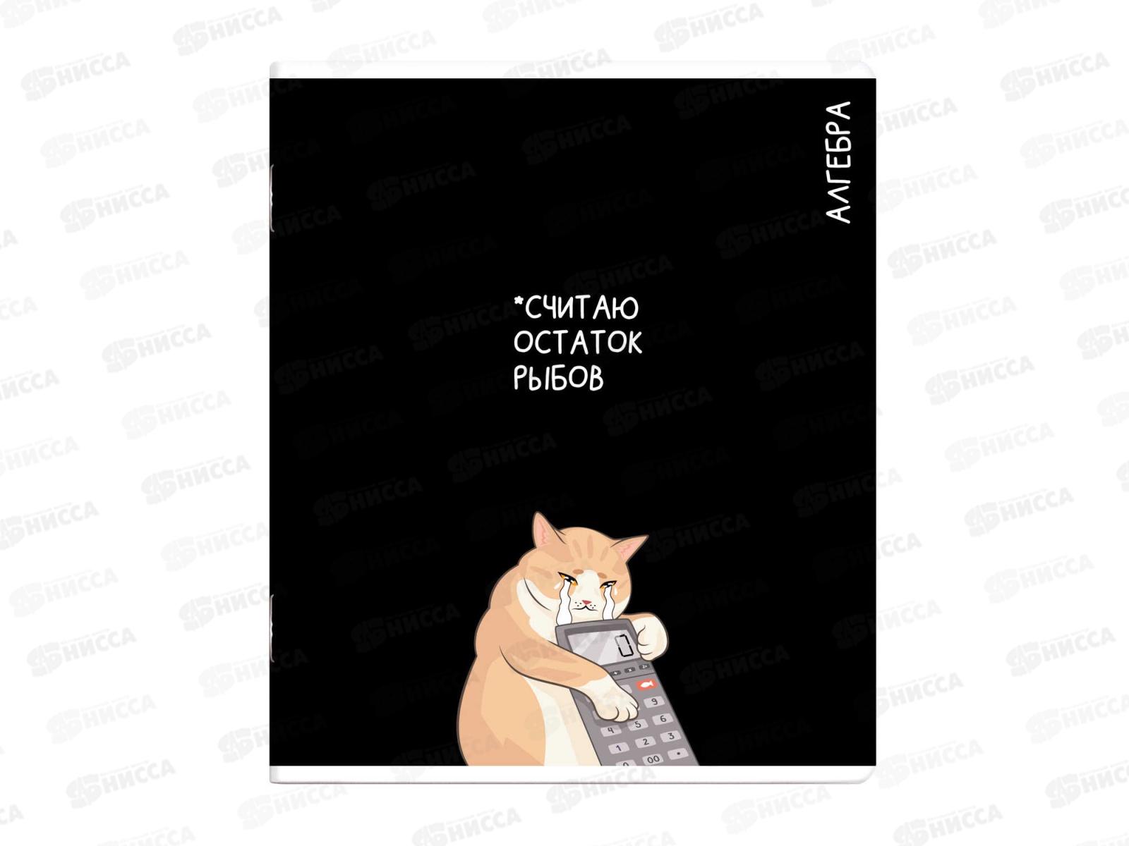 Тетрадь 48л кл. ФЕН Коты мемы. Алгебра, 69820  *16/48