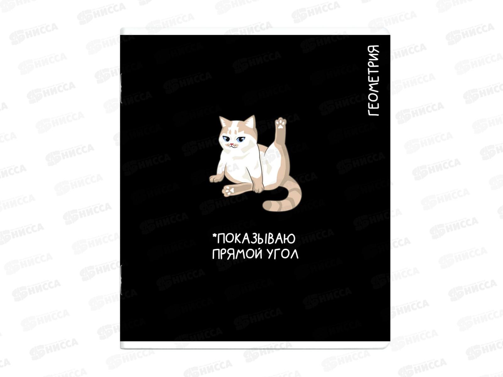 Тетрадь 48л кл. ФЕН Коты мемы. Геометрия, 69821  *16/48