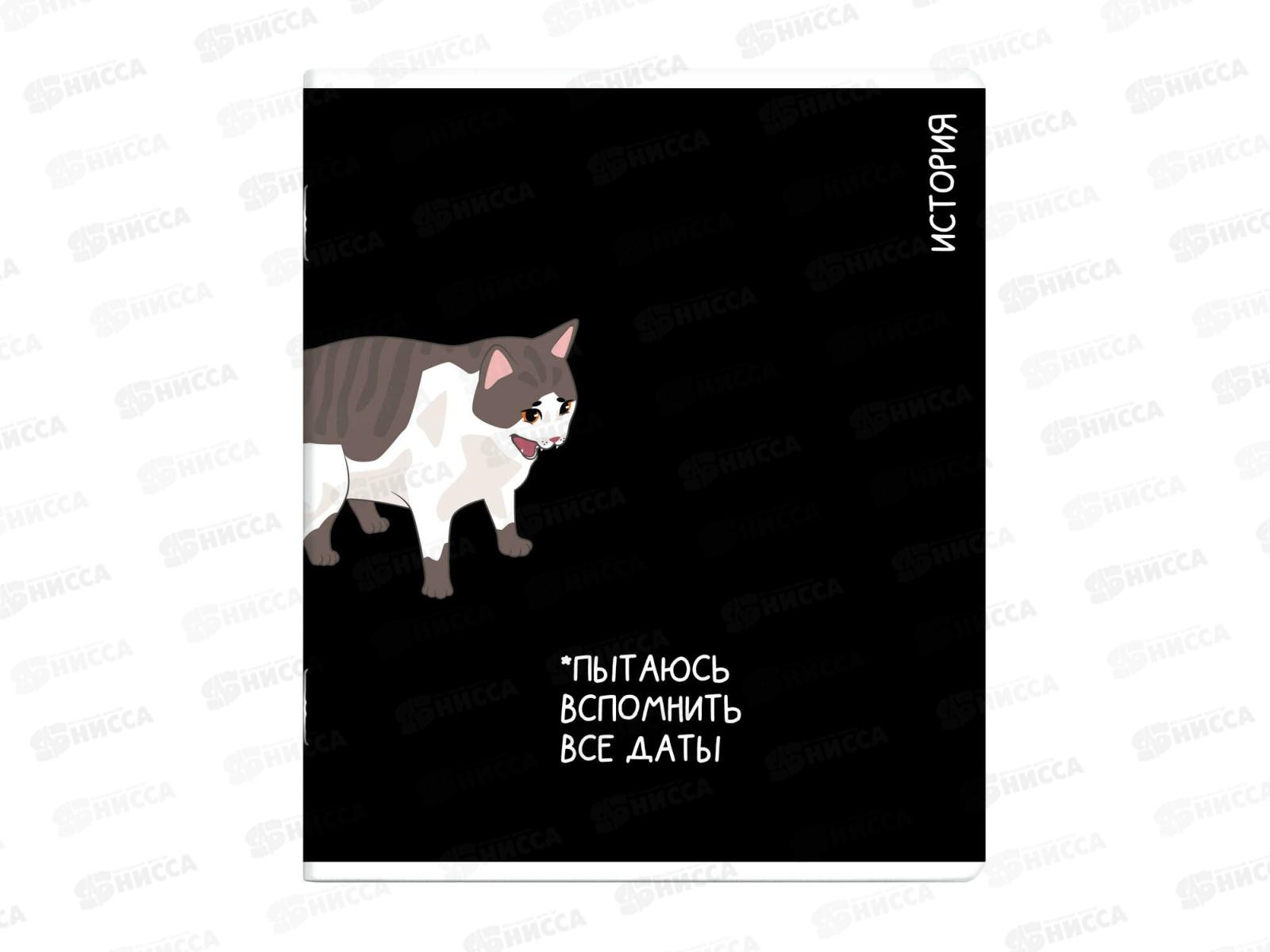 Тетрадь 48л кл. ФЕН Коты мемы. История, 69823  *16/48
