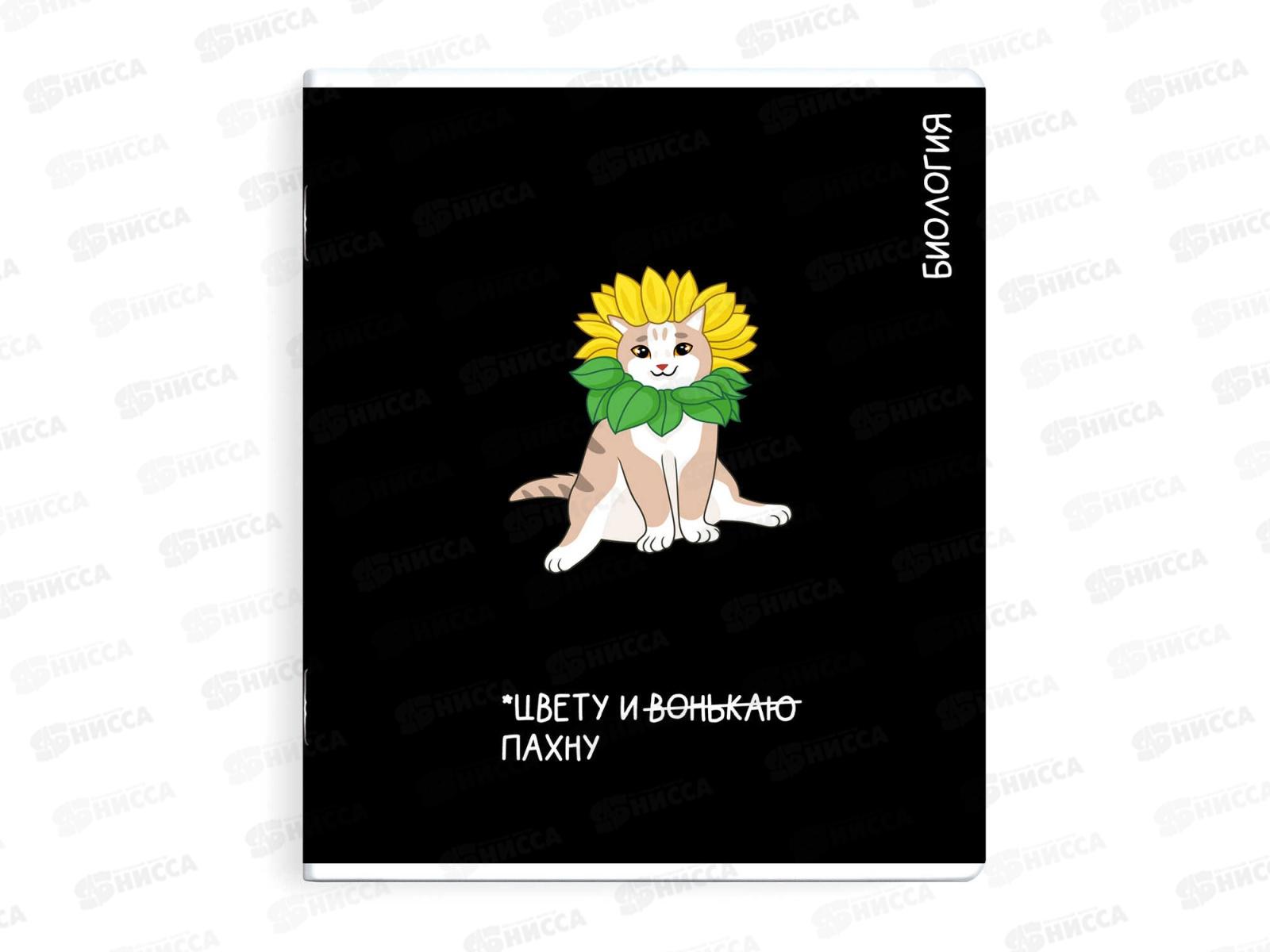 Тетрадь 48л кл. ФЕН Коты мемы. Биология, 69824  *16/48