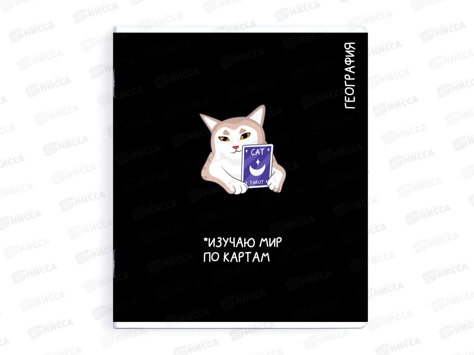 Тетрадь 48л кл. ФЕН Коты мемы. География, 69825  *16/48