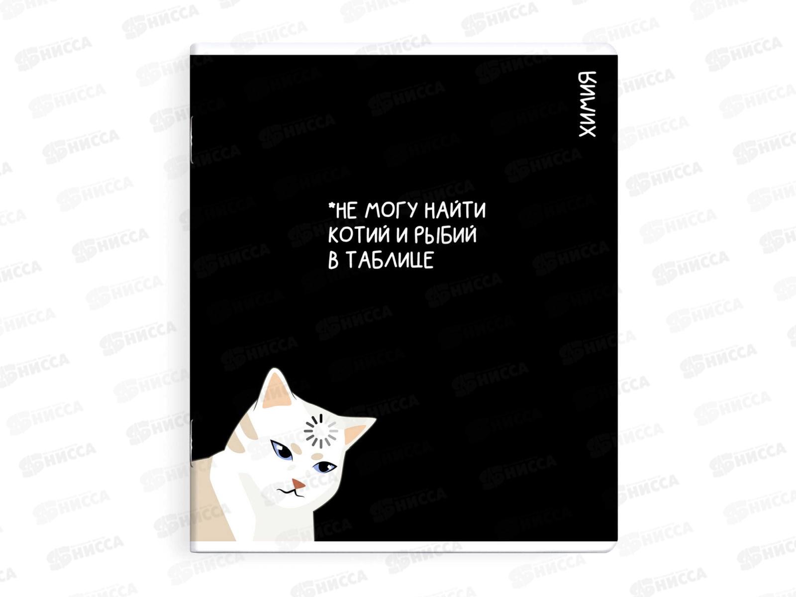 Тетрадь 48л кл. ФЕН Коты мемы. Химия, 69826  *16/48