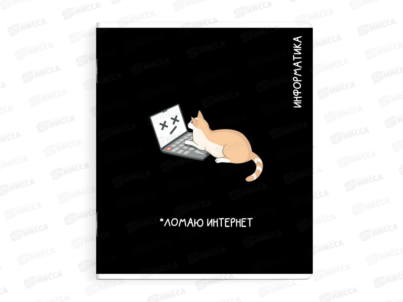 Тетрадь 48л кл. ФЕН Коты мемы. Информатика, 69827  *16/48