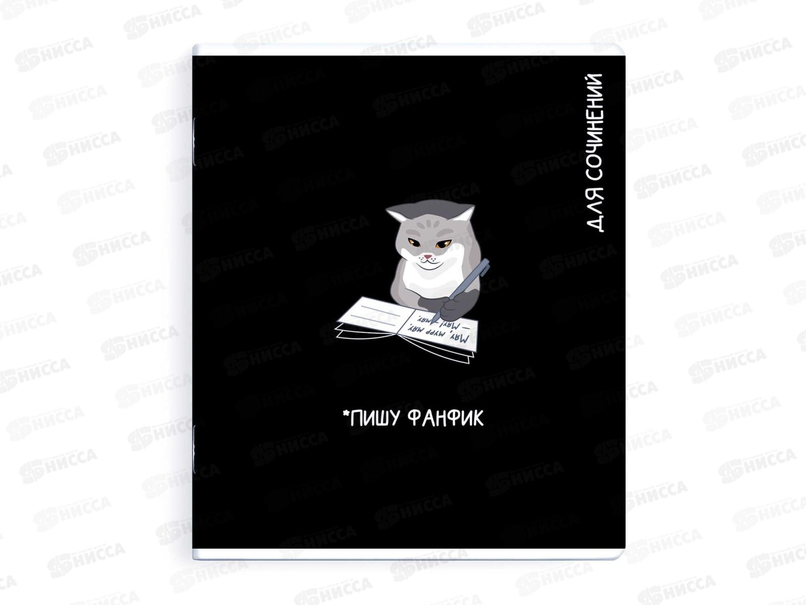 Тетрадь 48л лин. ФЕН Коты мемы. Для сочинений, 69831  *5/50