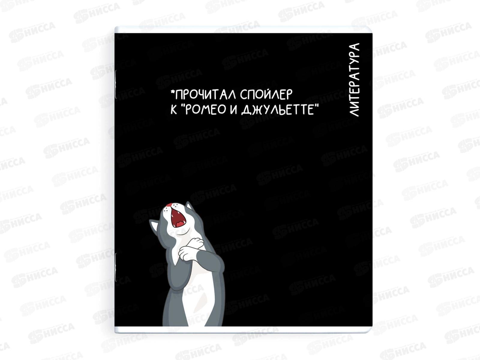 Тетрадь 48л лин. ФЕН Коты мемы. Литература, 69832  *16/48