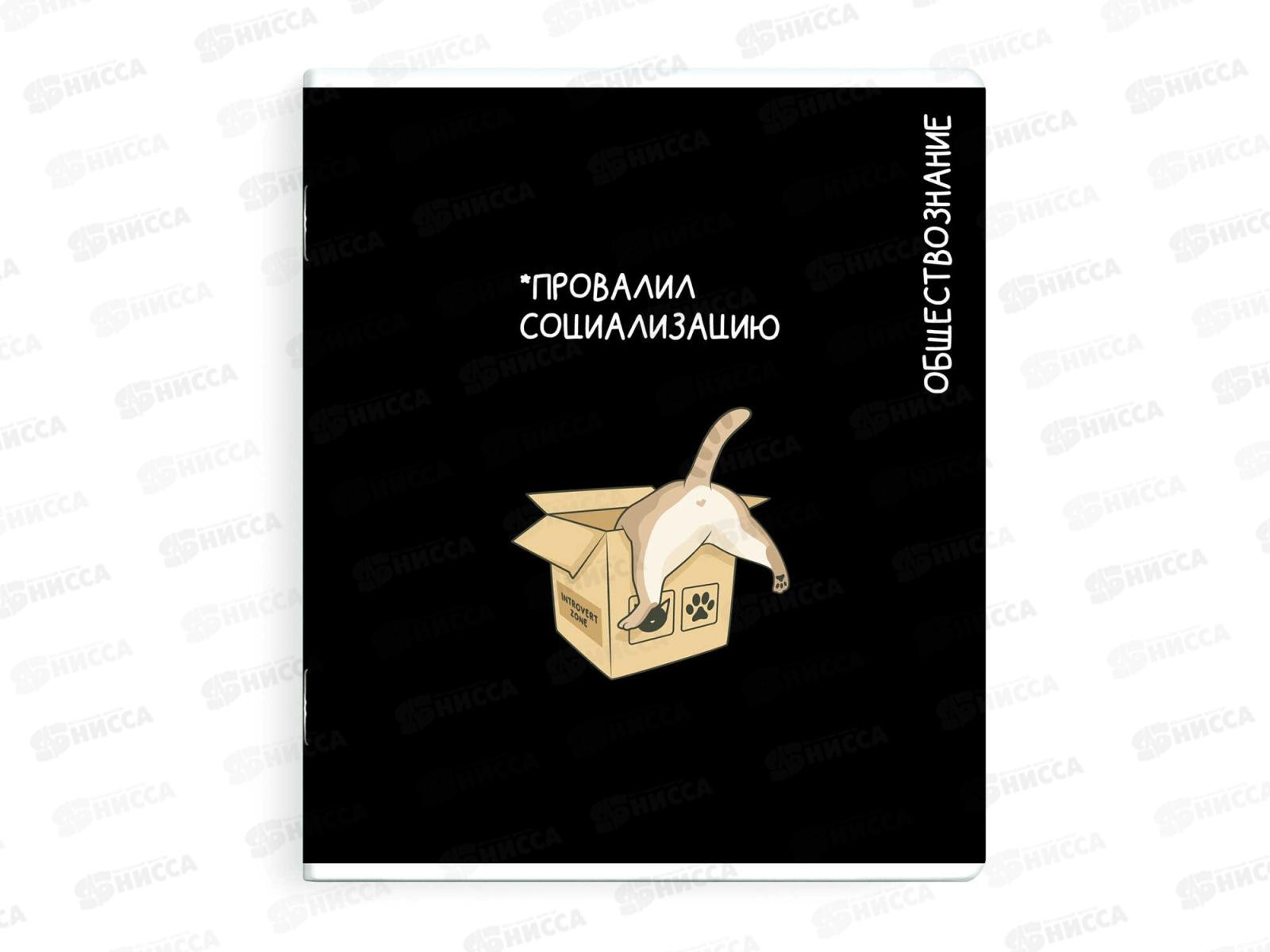 Тетрадь 48л кл. ФЕН Коты мемы. Обществознание, 69833  *16/48