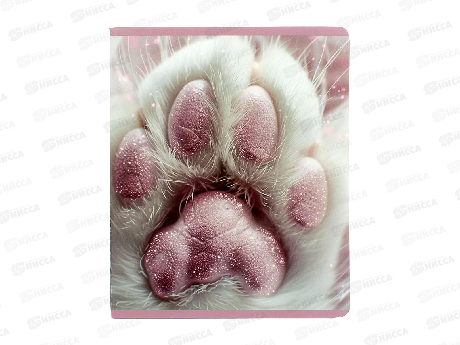 Тетрадь 48л кл. LAMARK Лапки. на скобе 4824-33  *5/100