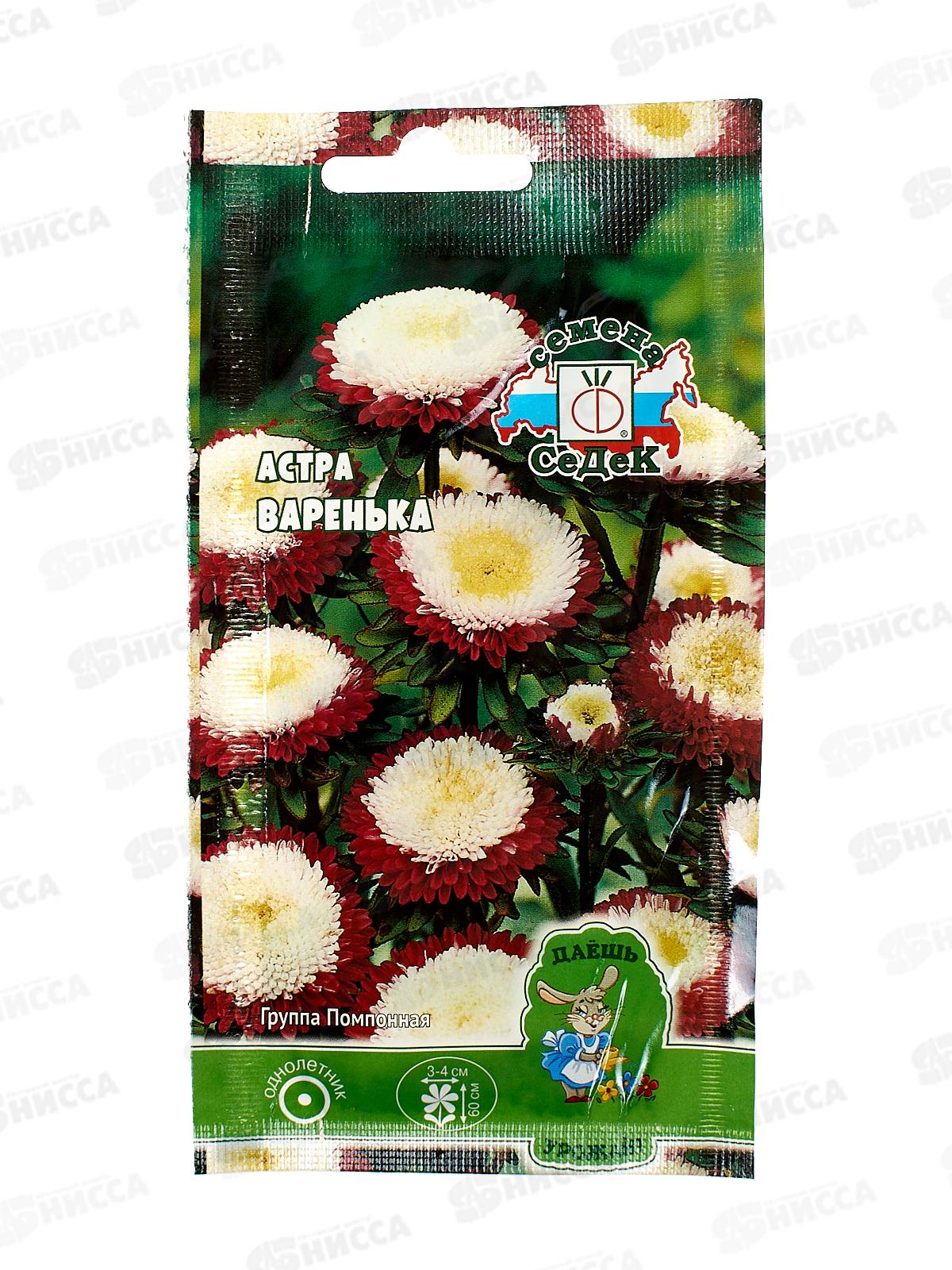 Астра Варенька (помпонная, кроваво-красная) ДУ (Евро, 0,2) *10 СеДек +