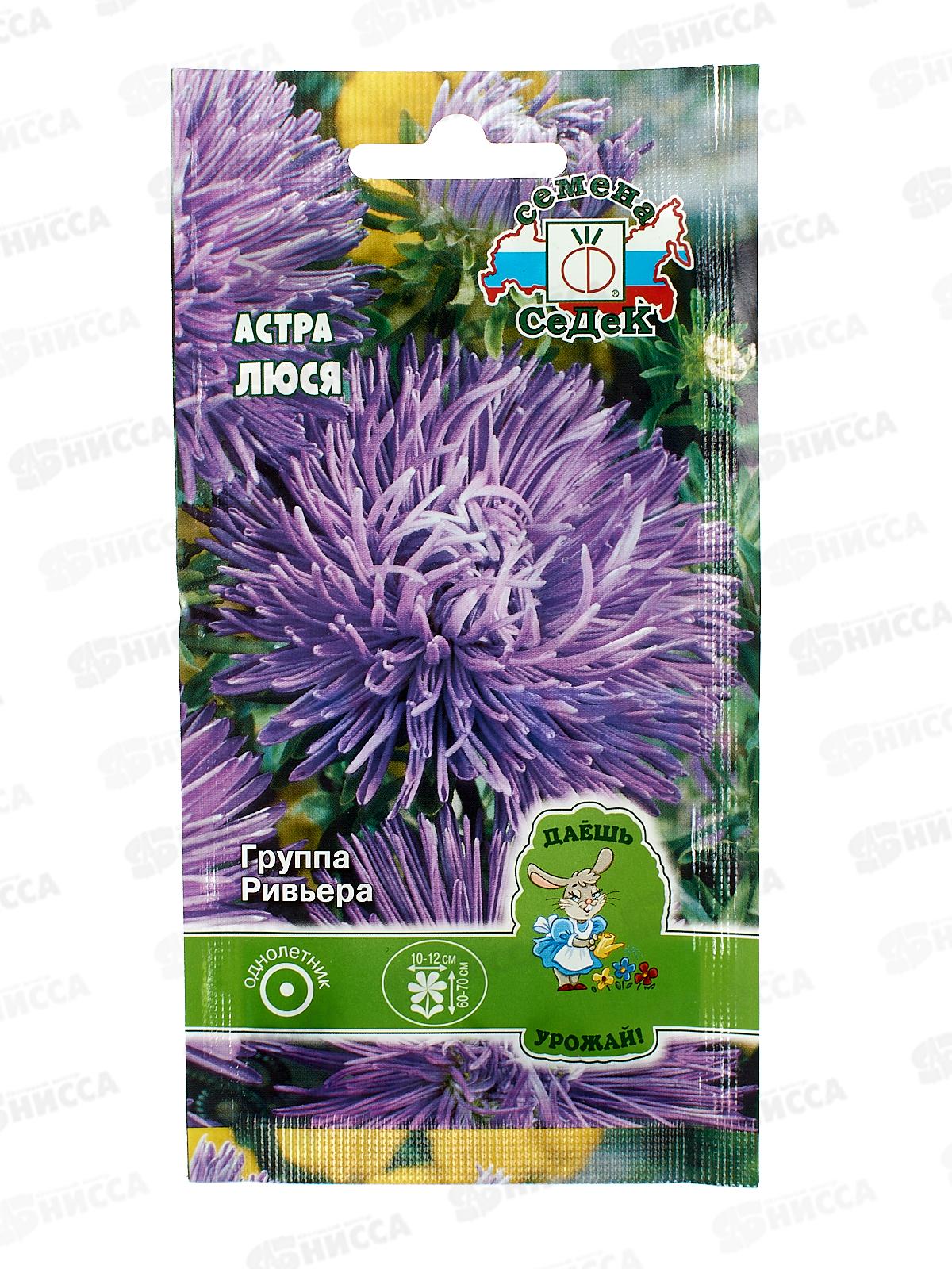 Астра Люся (игольчатая, т-сиреневая) ДУ (Евро, 0,2) СеДек *10 +