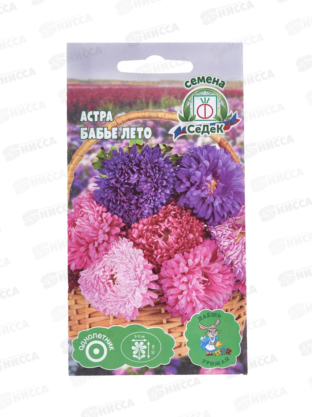 Астра Бабье лето (пионовидная смесь) ДУ (Евро, 0,2) *10 СеДек