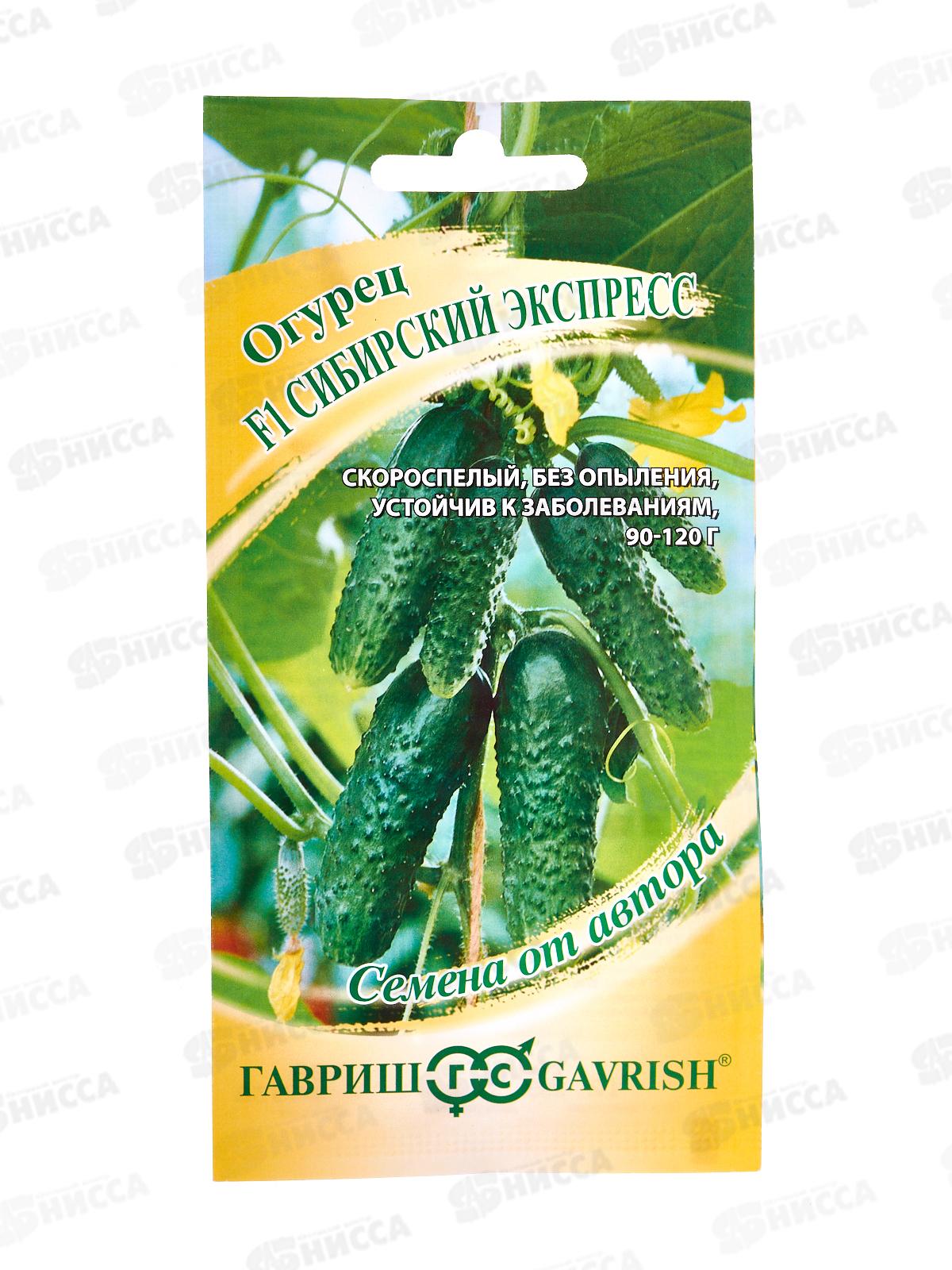 Огурец Сибирский F1 10шт экспресс автор *10 ГШ