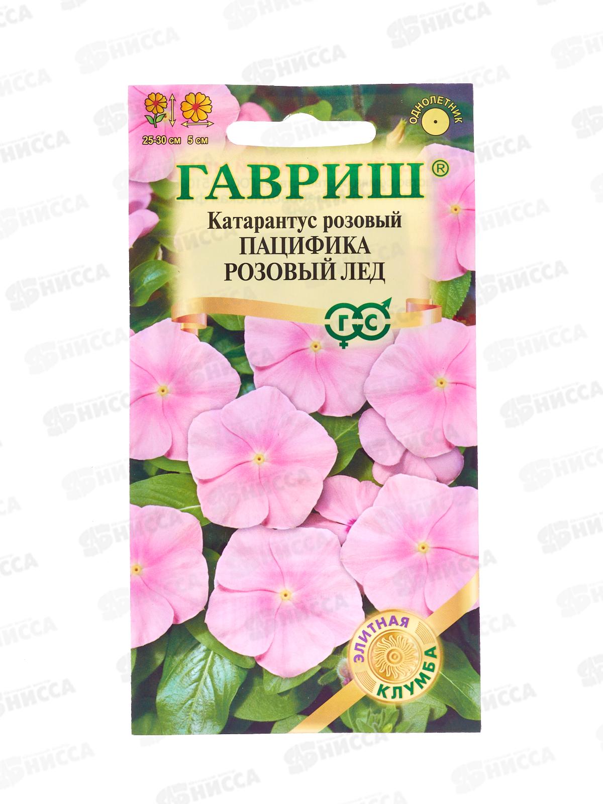 Катарантус Пацифика Розовый лед 5шт  *10 ГШ