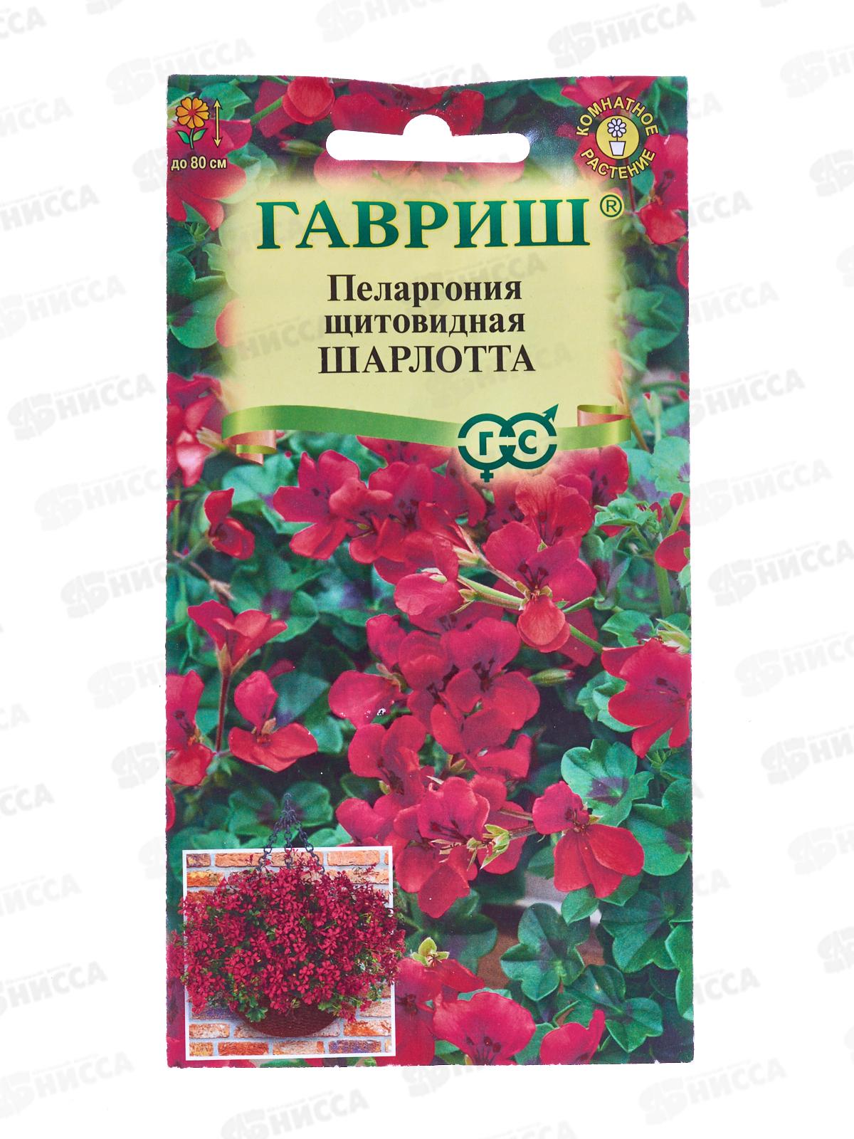 Пеларгония Шарлотта ампельная 3шт Н22  *10 ГШ +