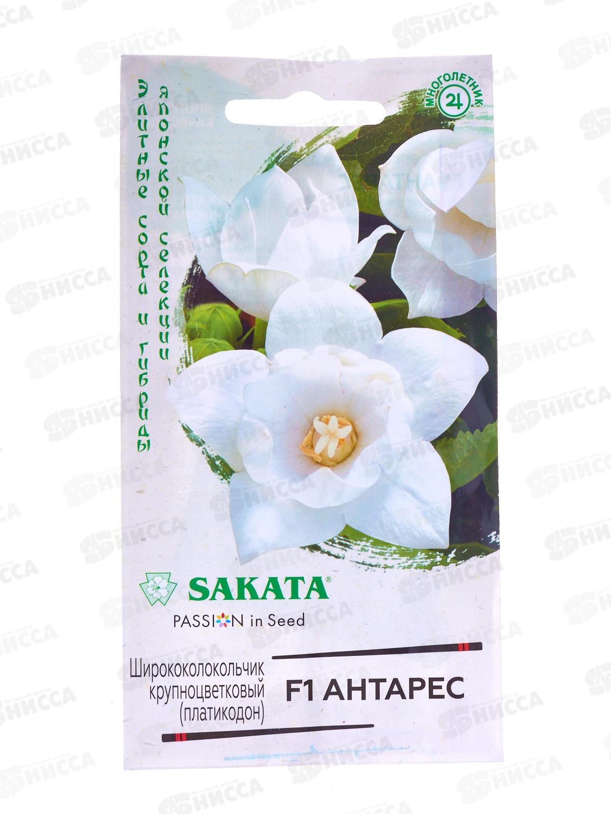 Ширококолокольчик Антарес крупн F1 4шт Н21 *10 ГШ +