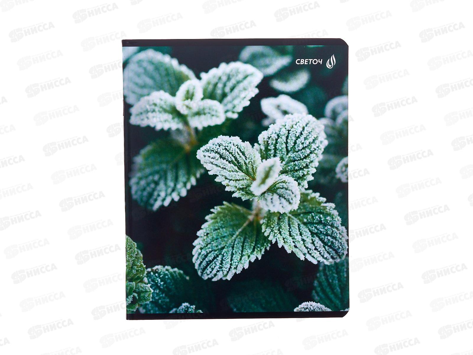 Тетрадь 48л клетка SVETOCH Морозная свежесть, 01503  *10/60