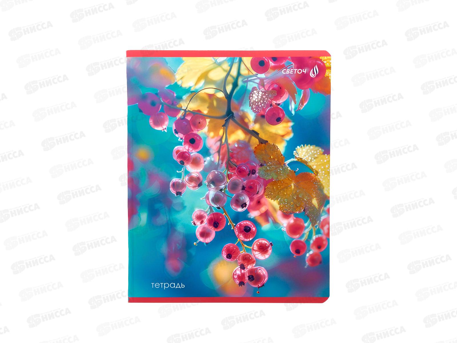 Тетрадь 48л клетка SVETOCH На рассвете, 01504  *10/60