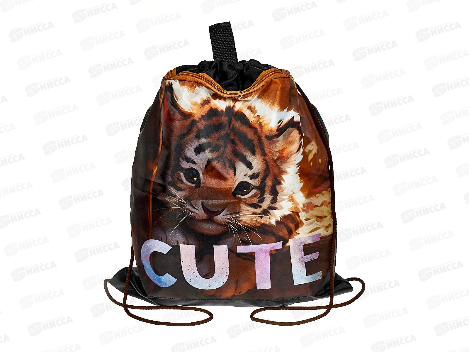 Сумка д/см.обуви ПЧЕЛКА Тигренок 2025, СДС-713 *50