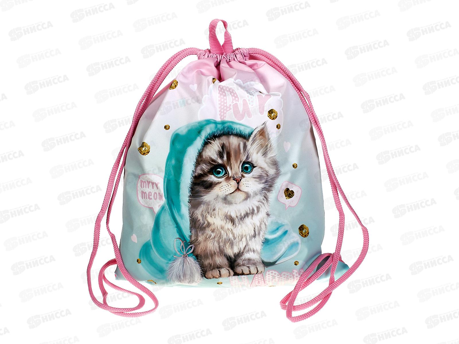 Мешок д/обуви  Hatber Милый котик 41*49см.,19022