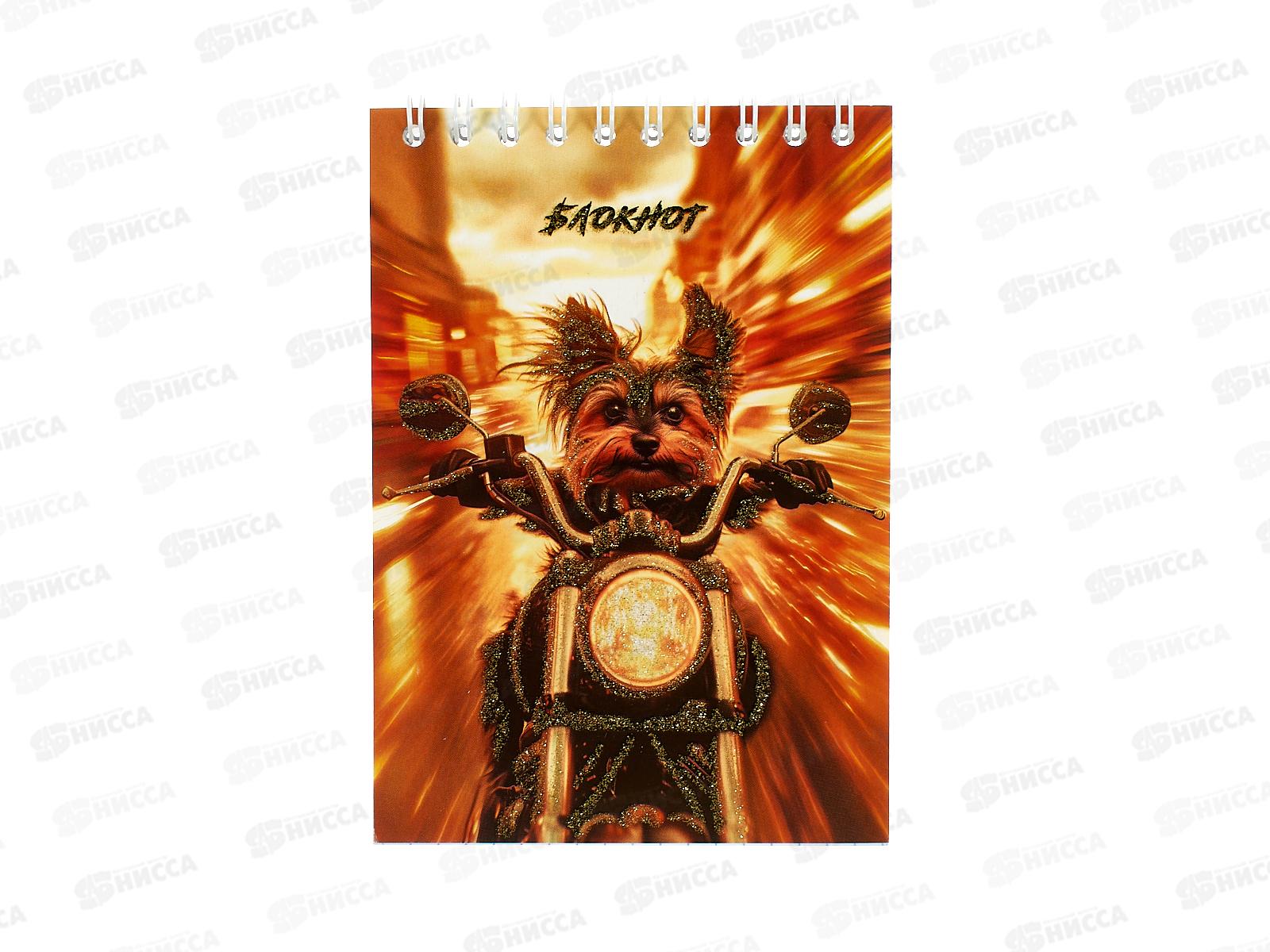 Блокнот 48л А6 Апплика,на греб.,Щенок-гощик, блестки, С0511-159*160