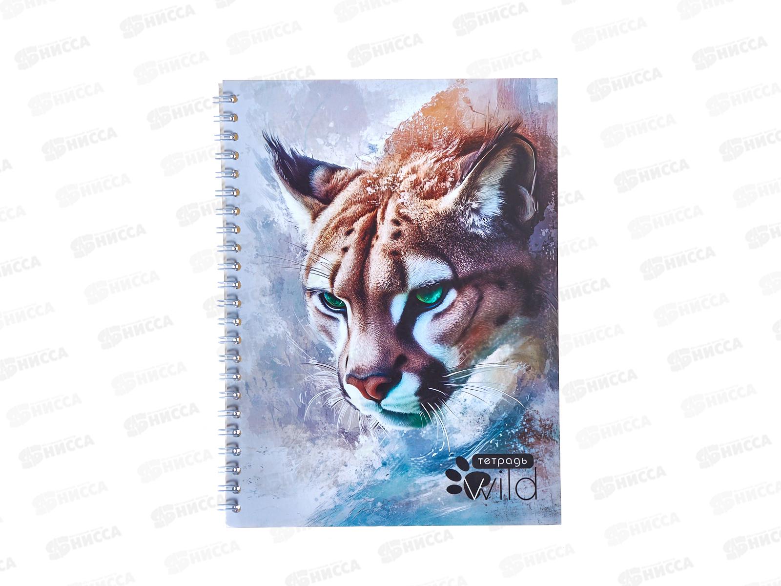 Тетрадь 40л лин. Апплика Дикая кошка, греб С0155-11  *80